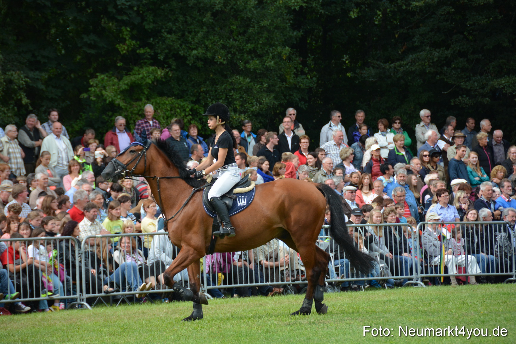 Pferdeschau JURA Volksfest 180814 0283