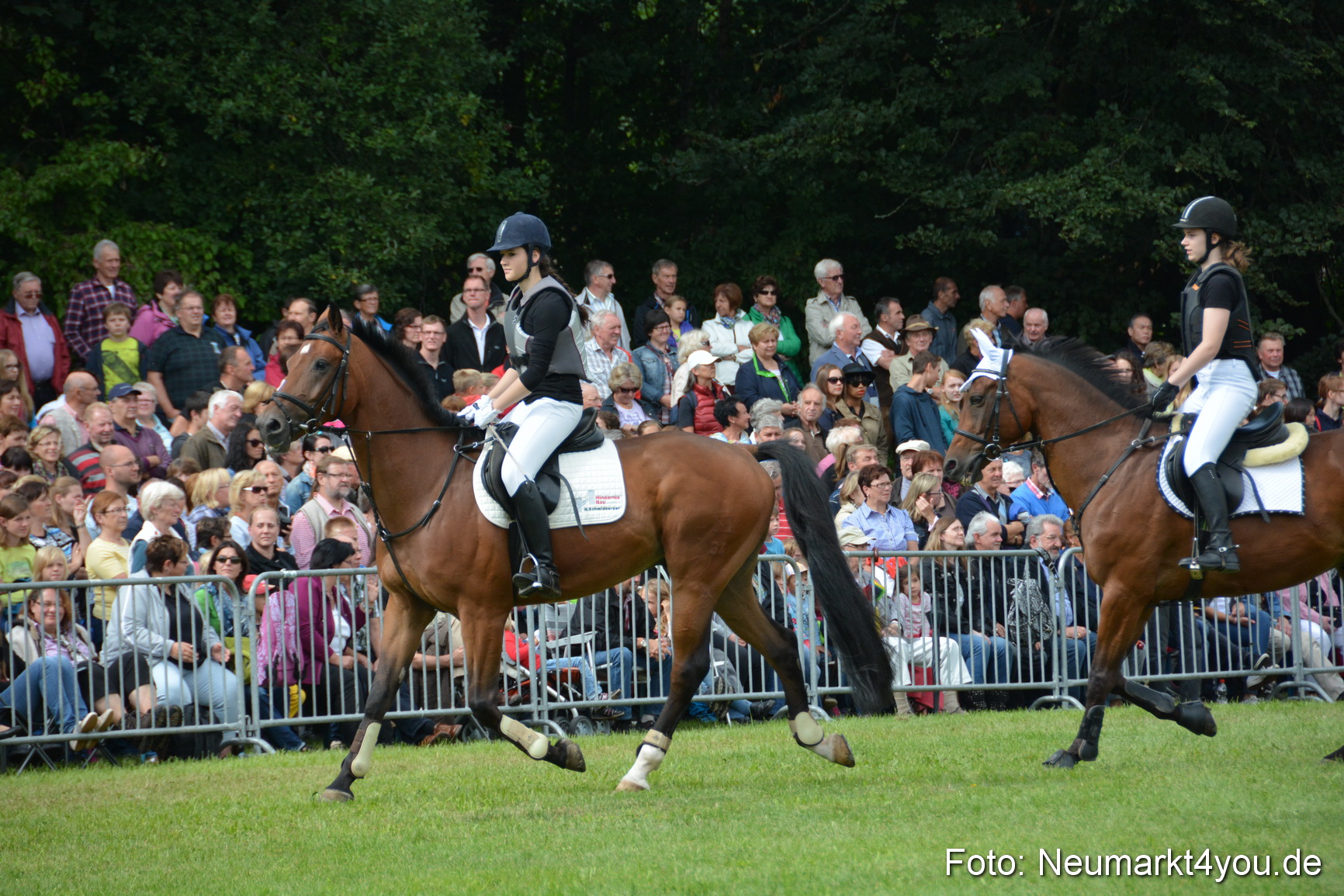 Pferdeschau JURA Volksfest 180814 0284
