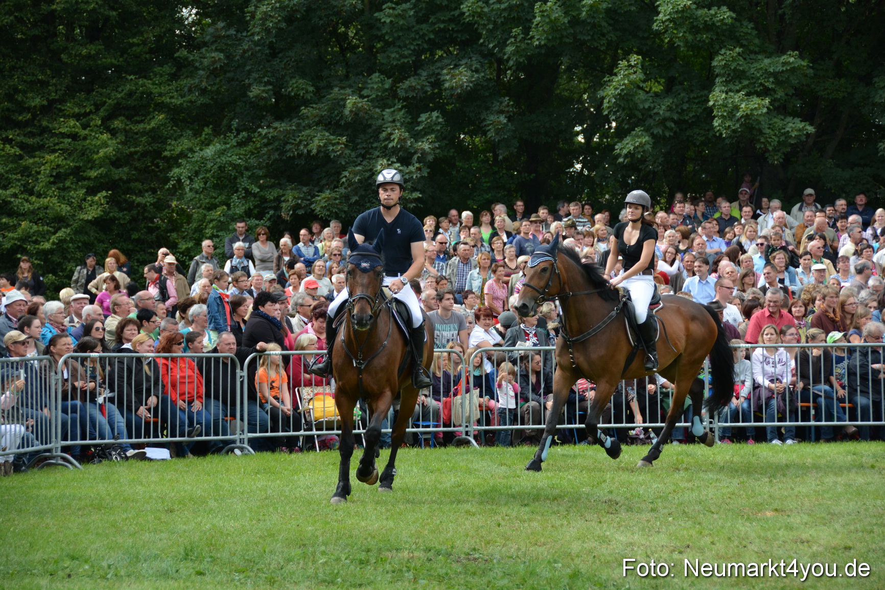 Pferdeschau JURA Volksfest 180814 0285