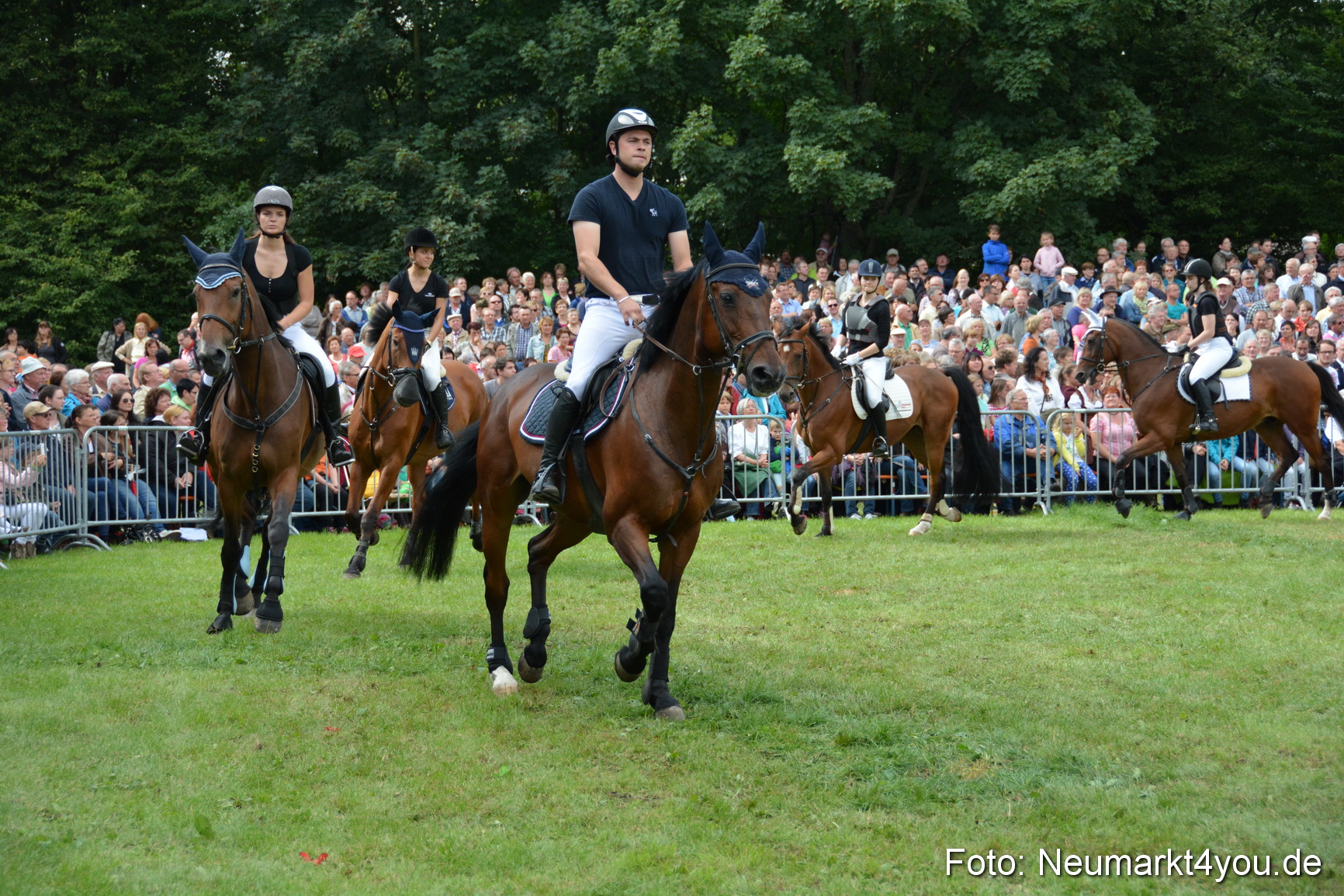 Pferdeschau JURA Volksfest 180814 0286