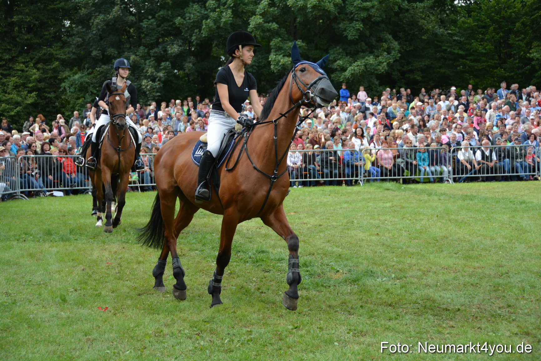 Pferdeschau JURA Volksfest 180814 0287