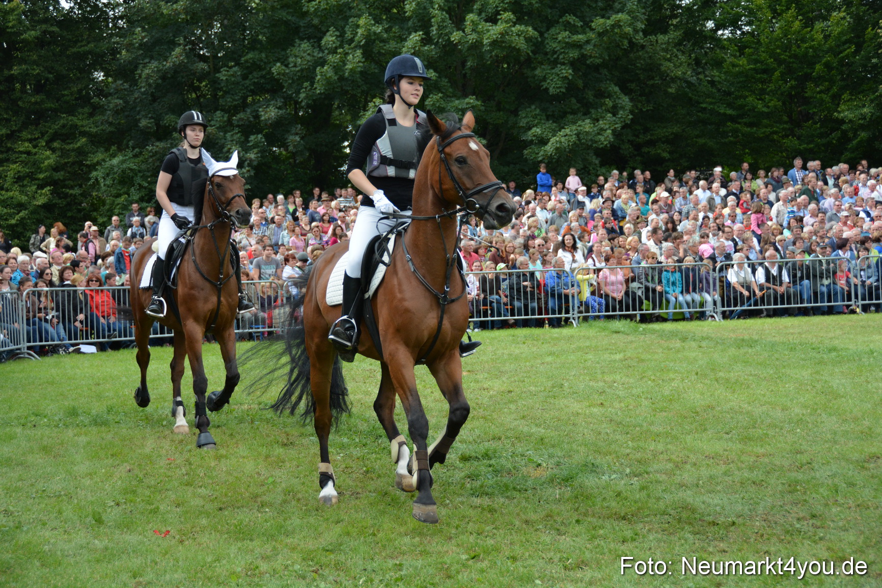 Pferdeschau JURA Volksfest 180814 0288