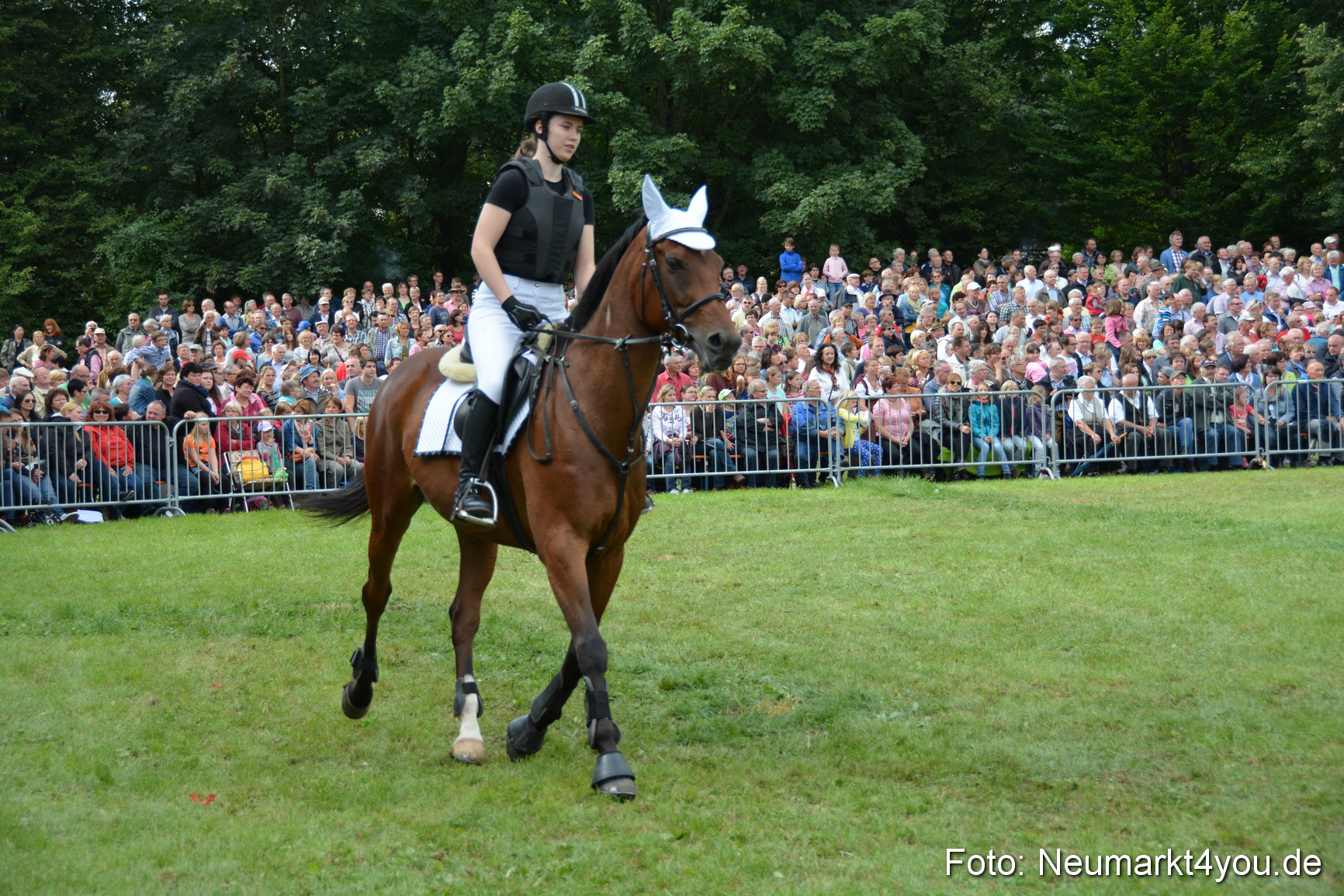 Pferdeschau JURA Volksfest 180814 0289