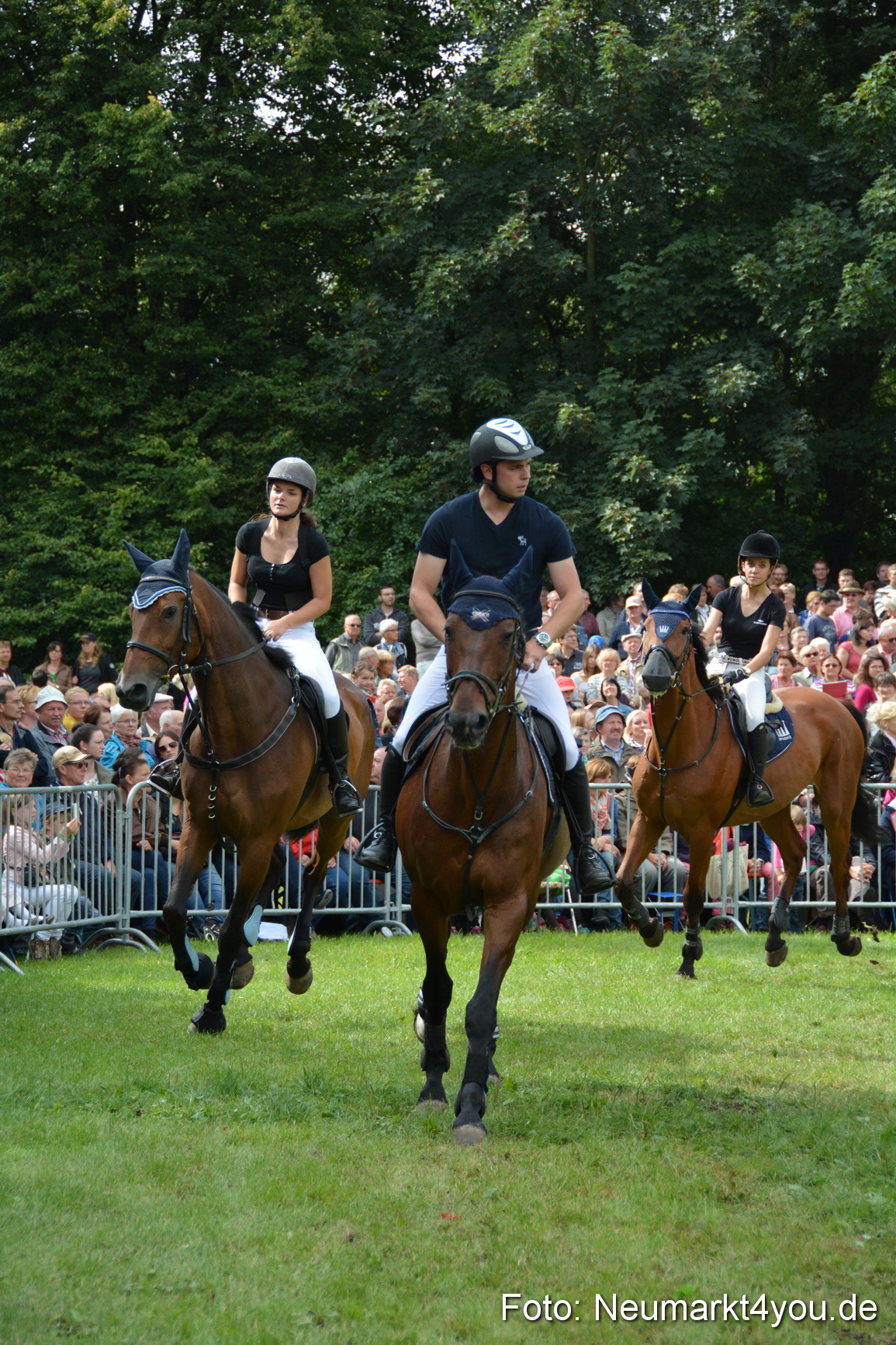 Pferdeschau JURA Volksfest 180814 0290