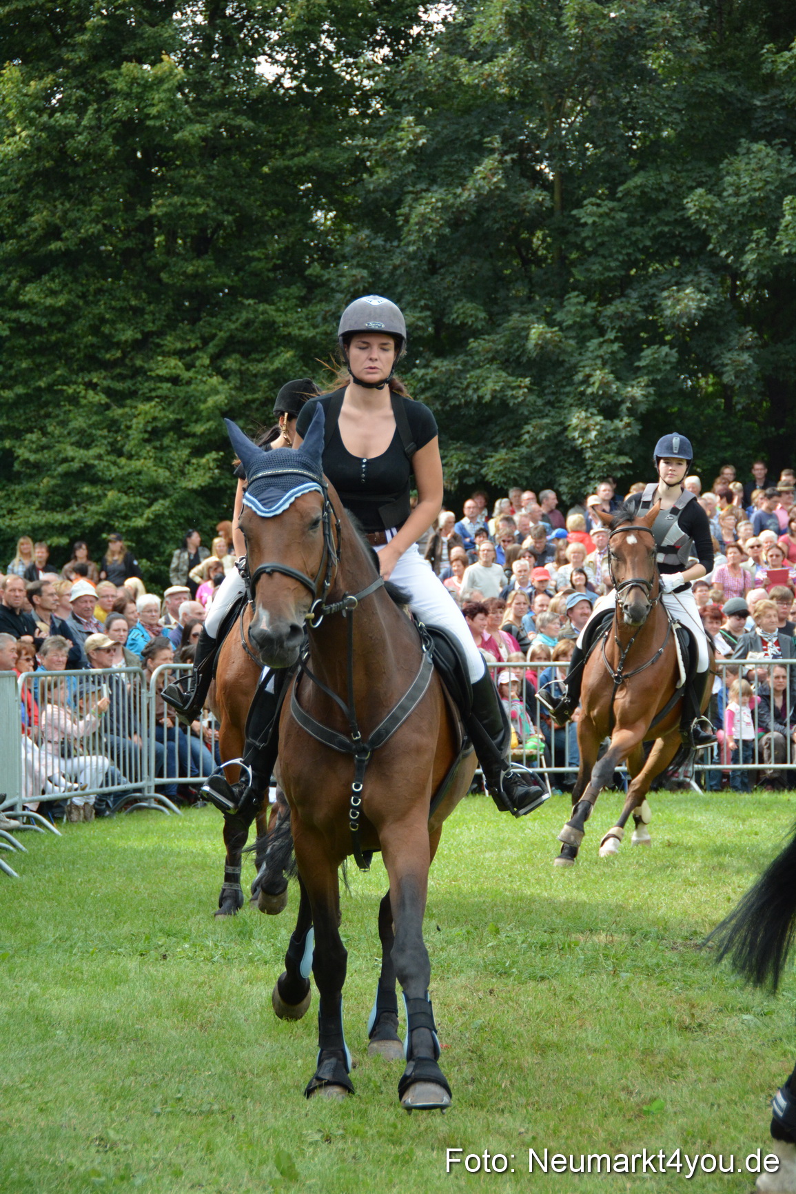 Pferdeschau JURA Volksfest 180814 0291