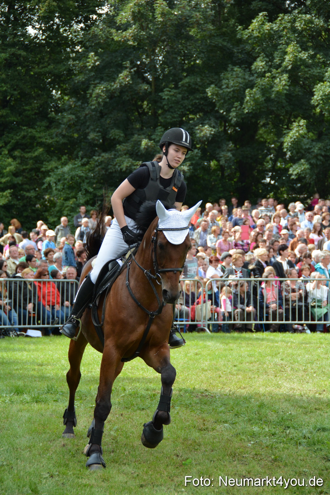 Pferdeschau JURA Volksfest 180814 0292