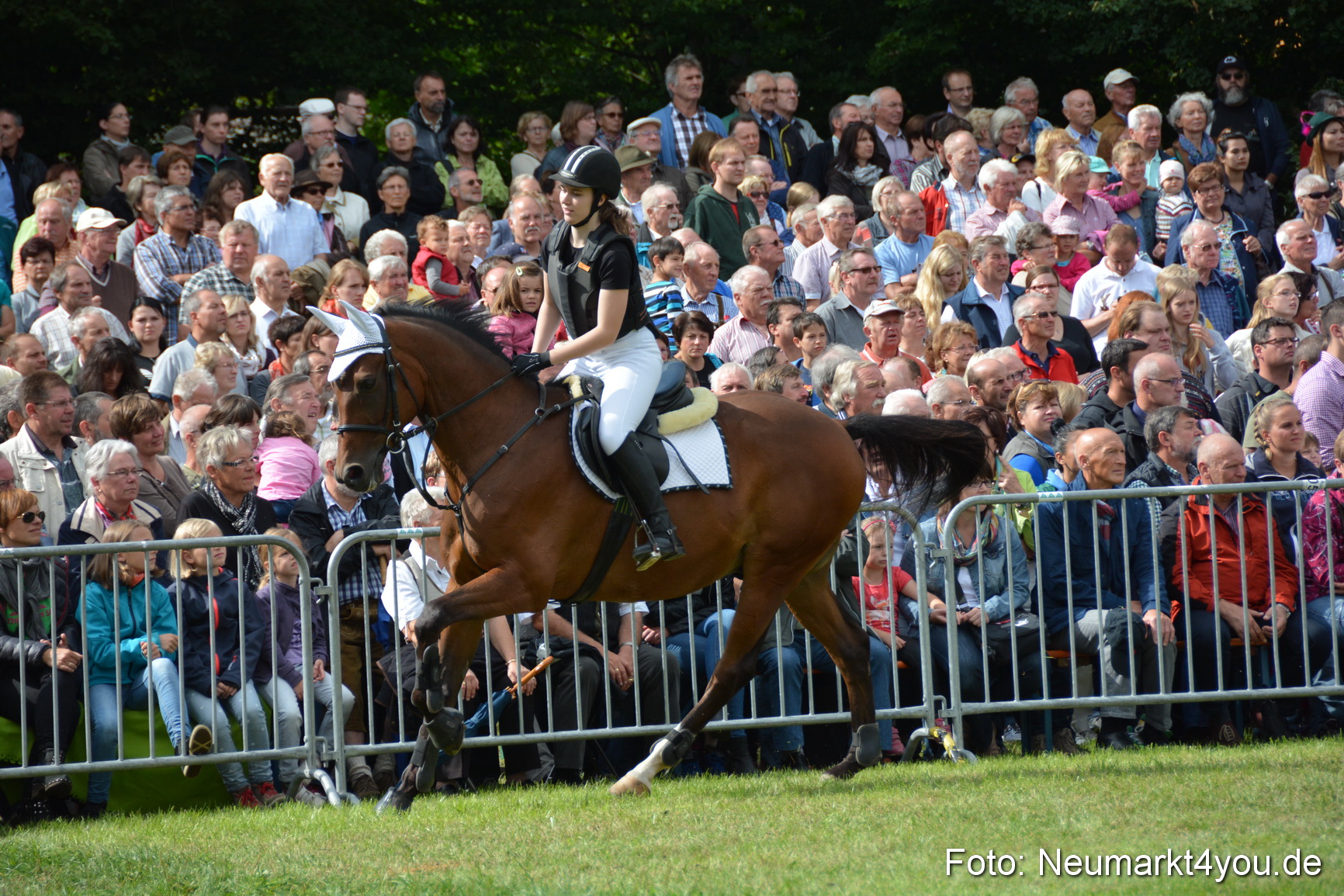 Pferdeschau JURA Volksfest 180814 0293