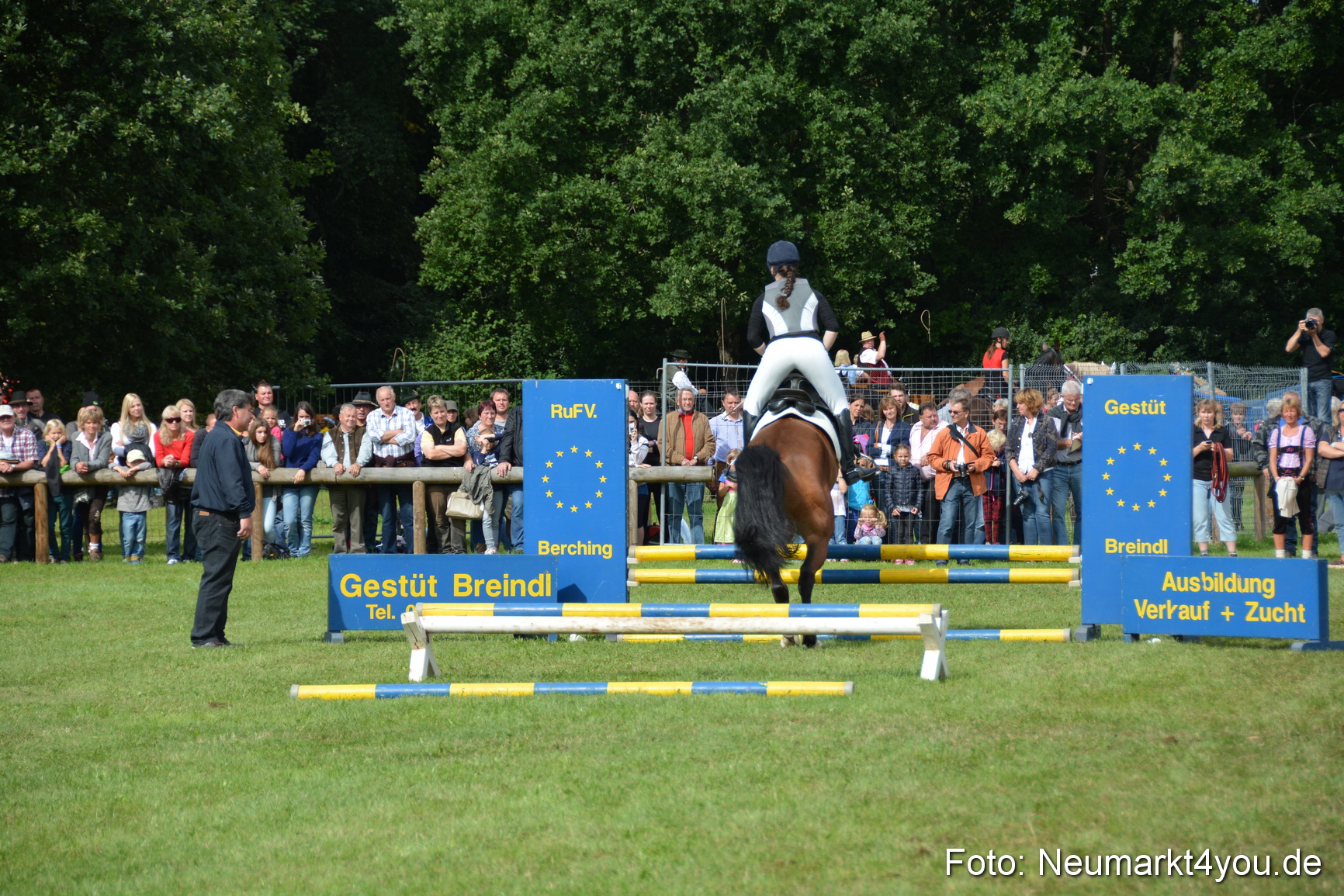 Pferdeschau JURA Volksfest 180814 0294