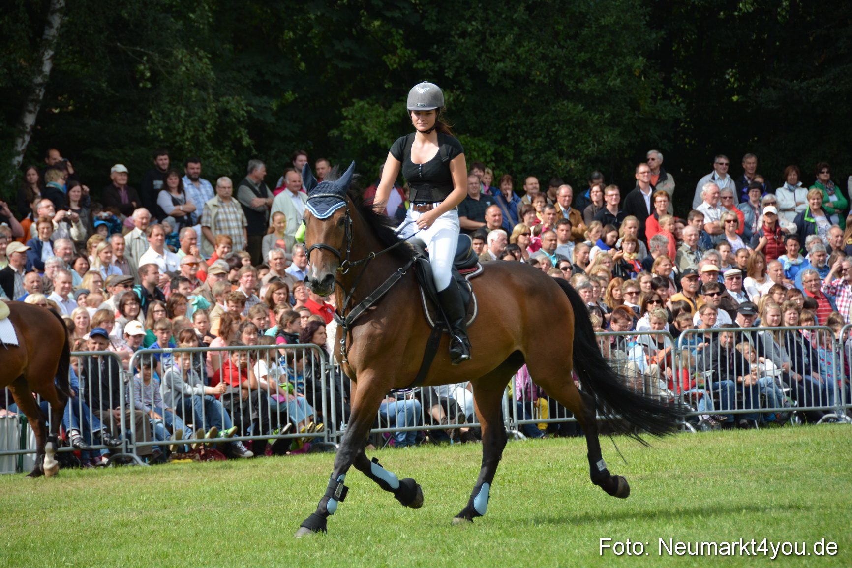 Pferdeschau JURA Volksfest 180814 0295