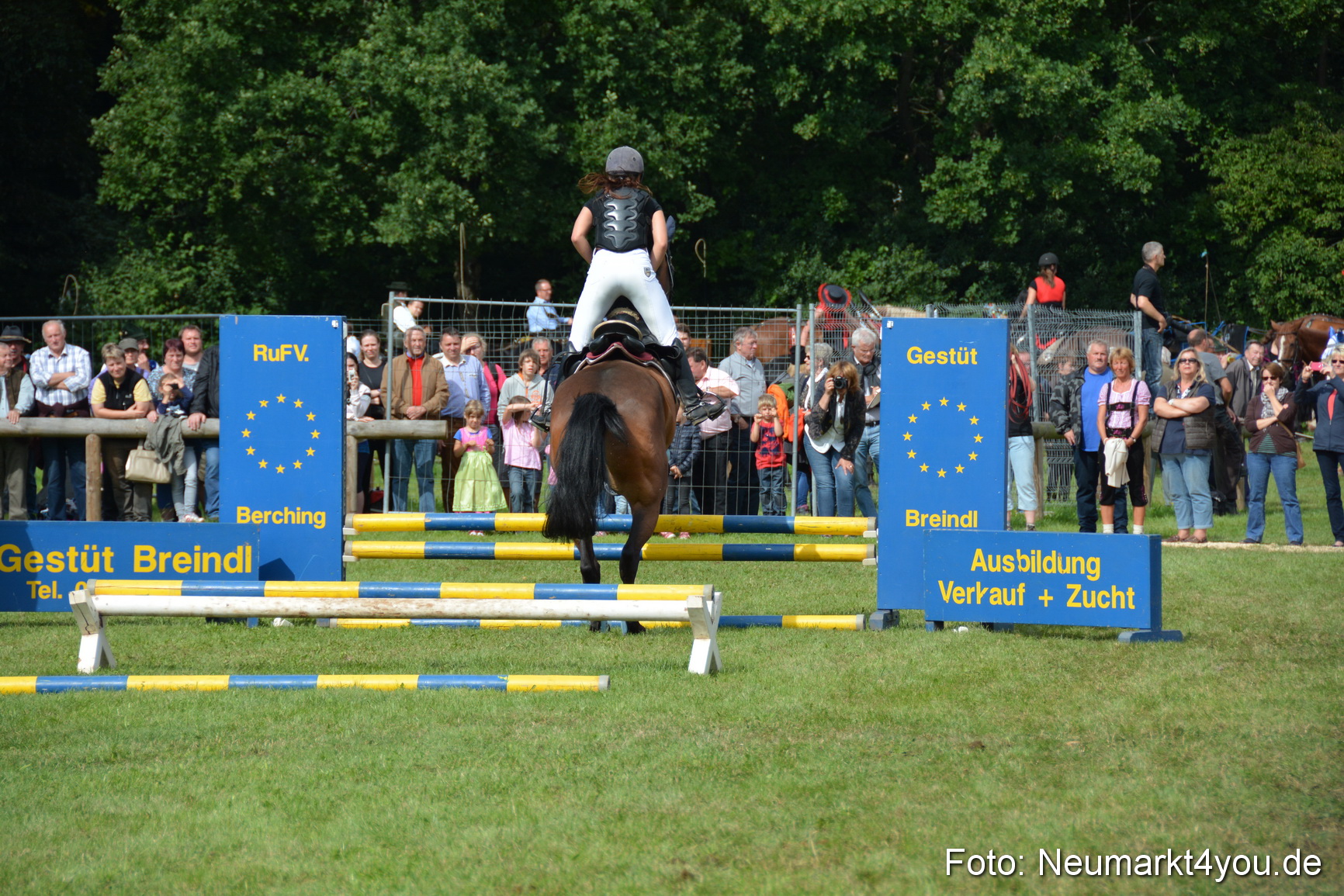 Pferdeschau JURA Volksfest 180814 0296