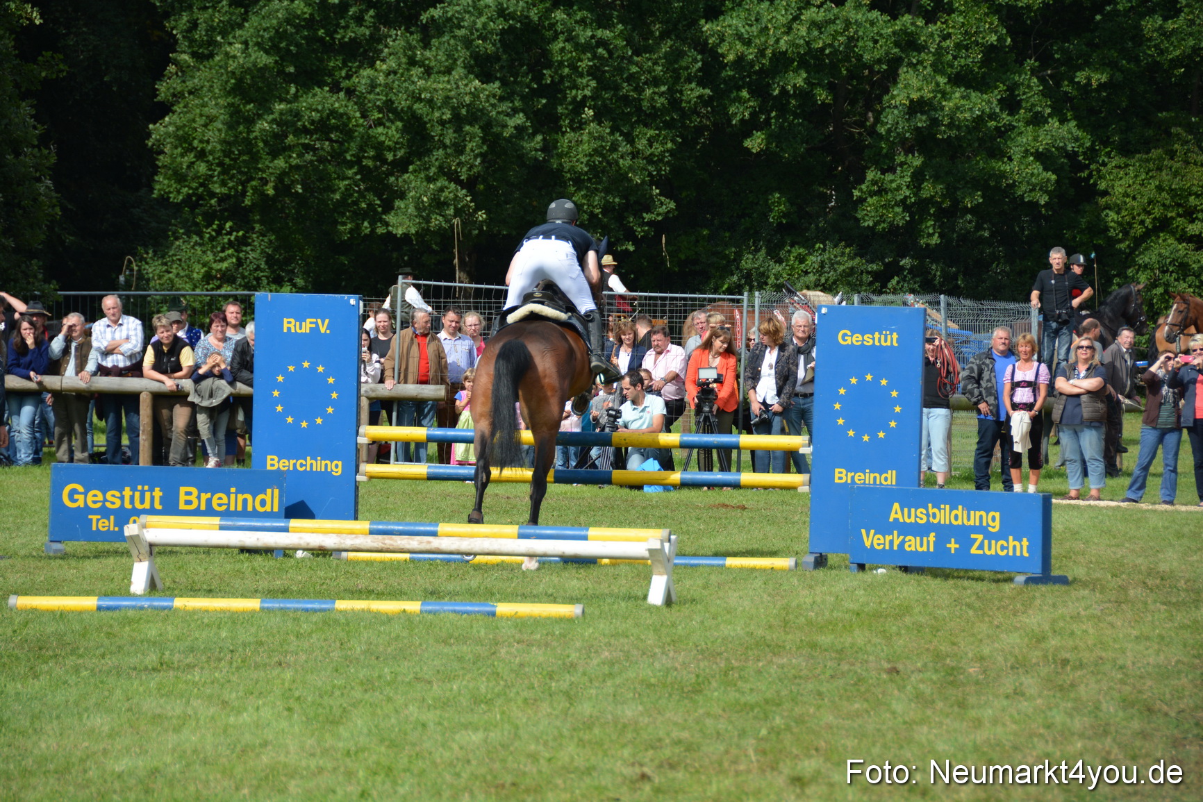Pferdeschau JURA Volksfest 180814 0297