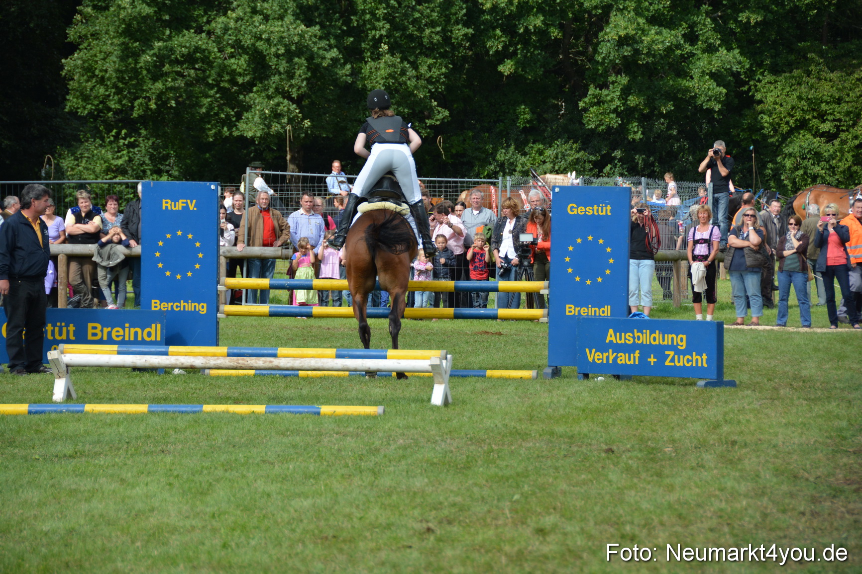 Pferdeschau JURA Volksfest 180814 0298
