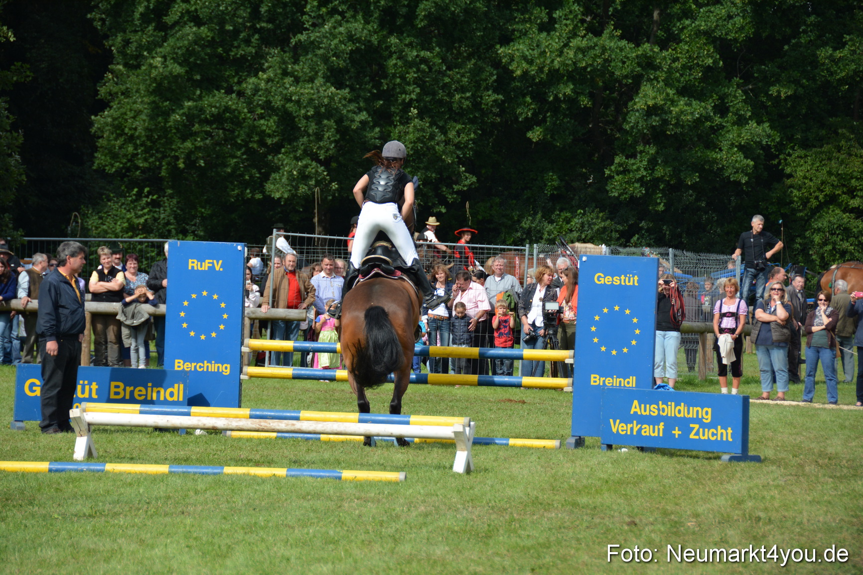 Pferdeschau JURA Volksfest 180814 0299