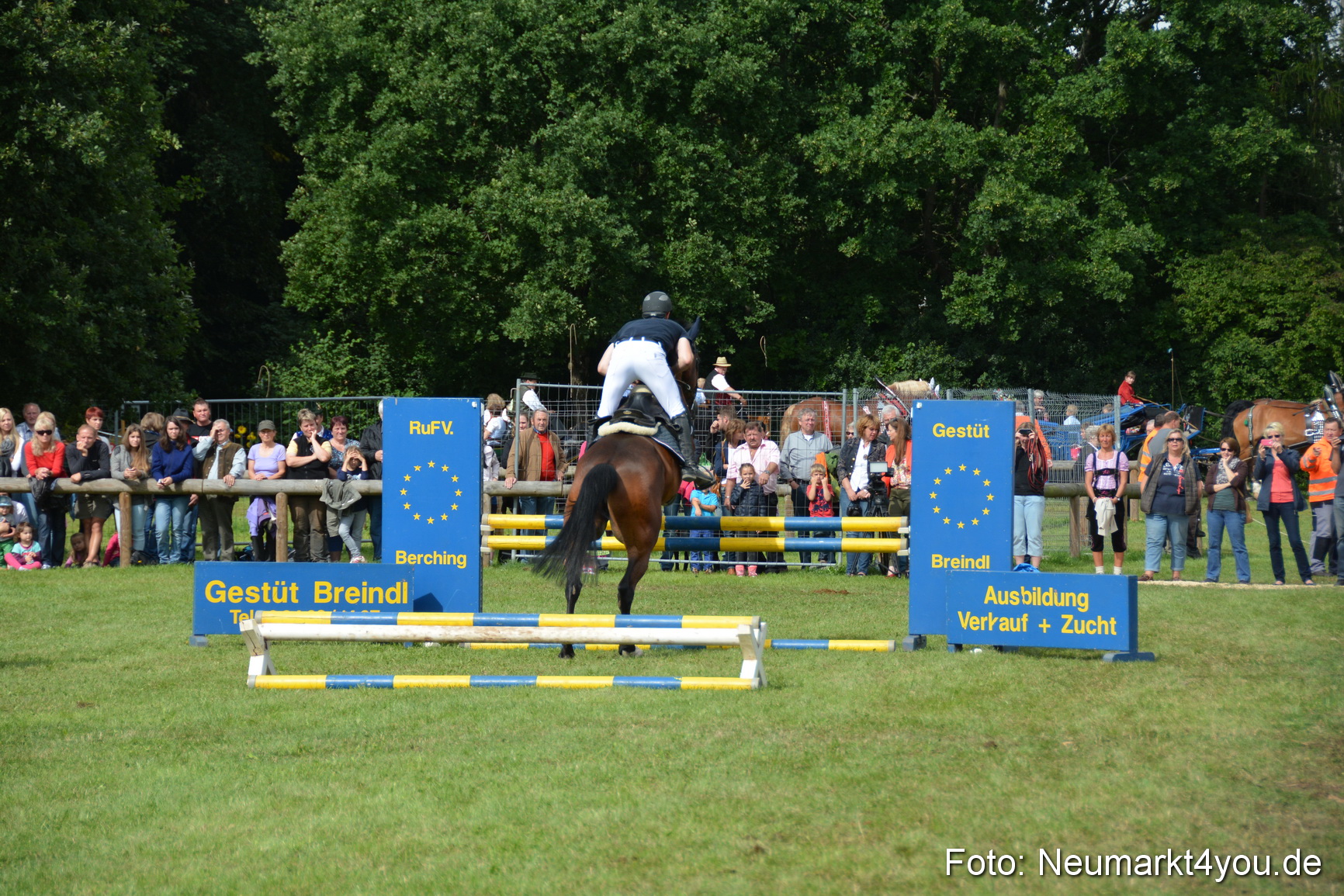Pferdeschau JURA Volksfest 180814 0300