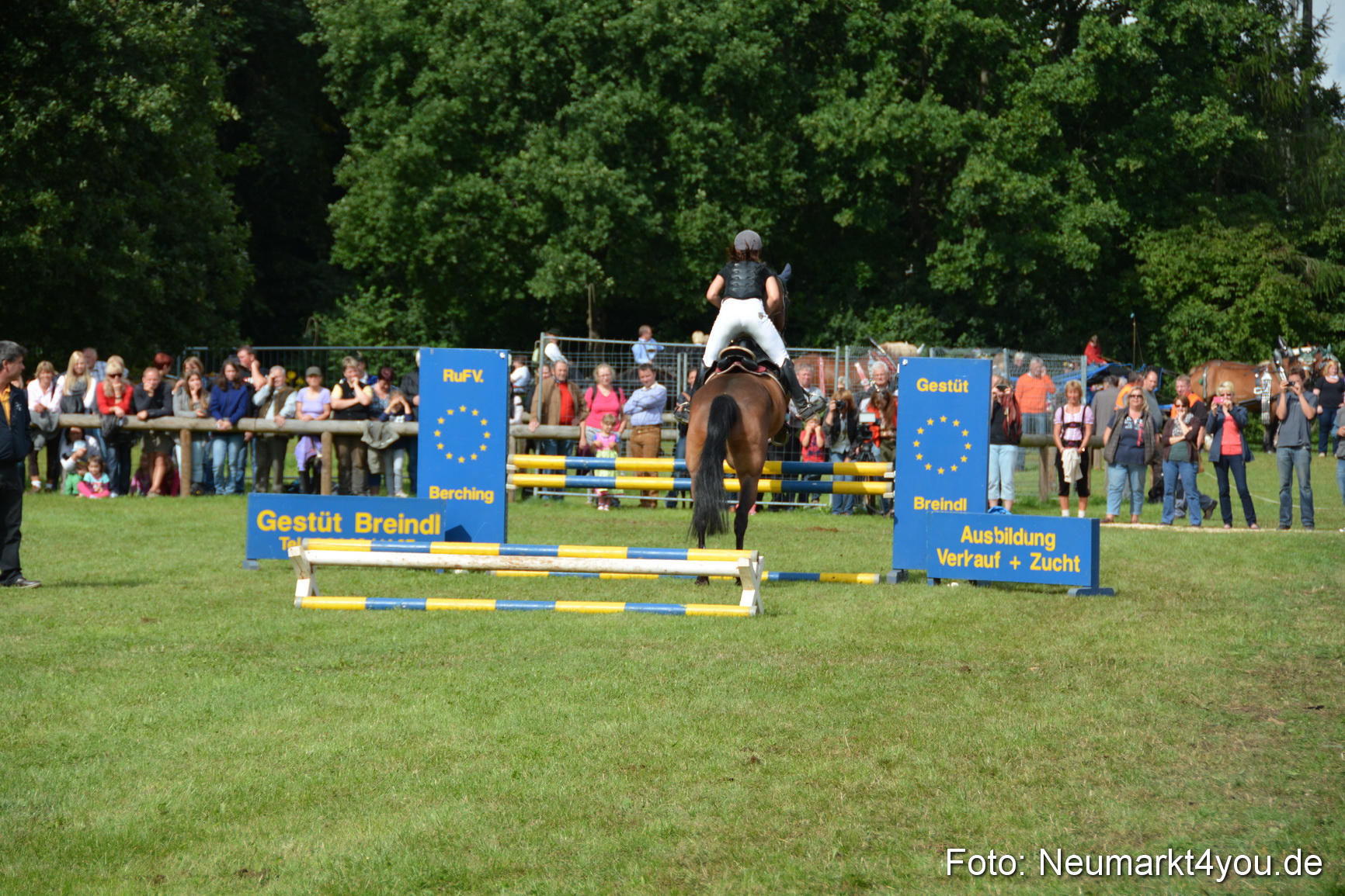 Pferdeschau JURA Volksfest 180814 0301