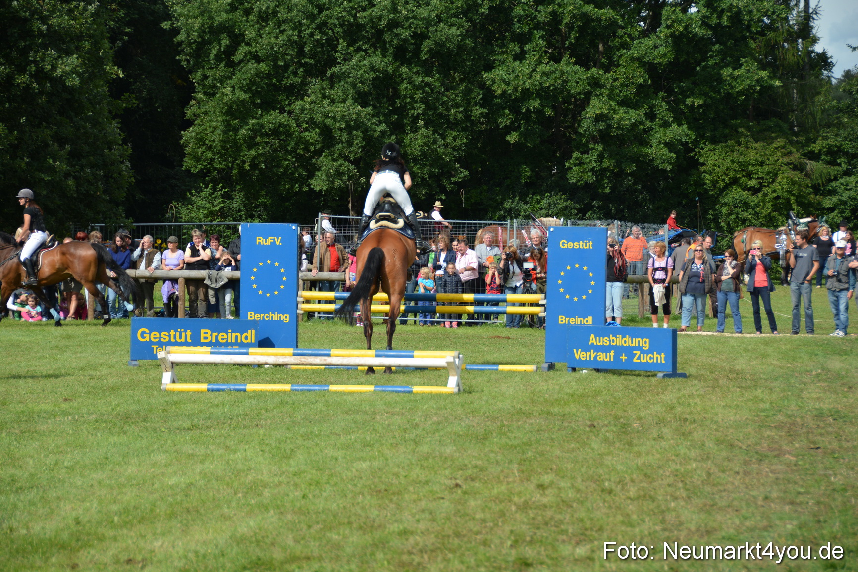 Pferdeschau JURA Volksfest 180814 0302