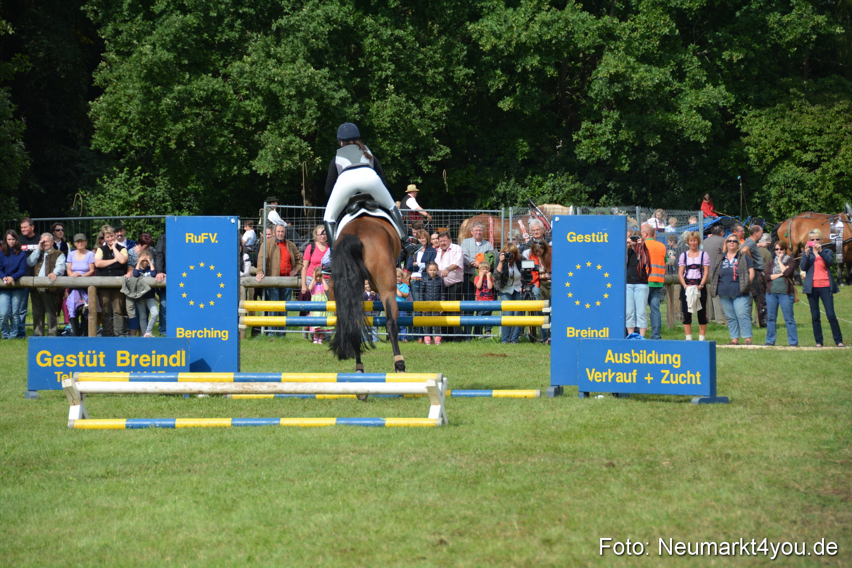 Pferdeschau JURA Volksfest 180814 0303