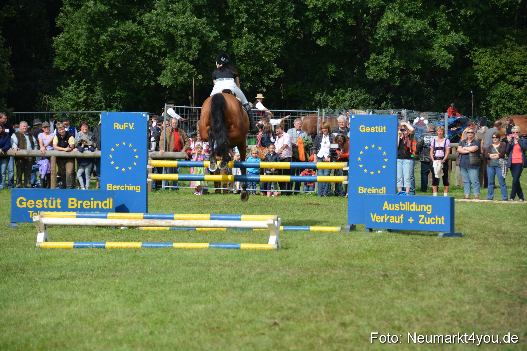 Pferdeschau JURA Volksfest 180814 0304