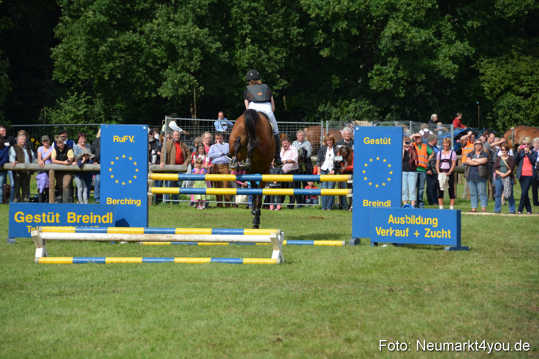 Pferdeschau JURA Volksfest 180814 0305