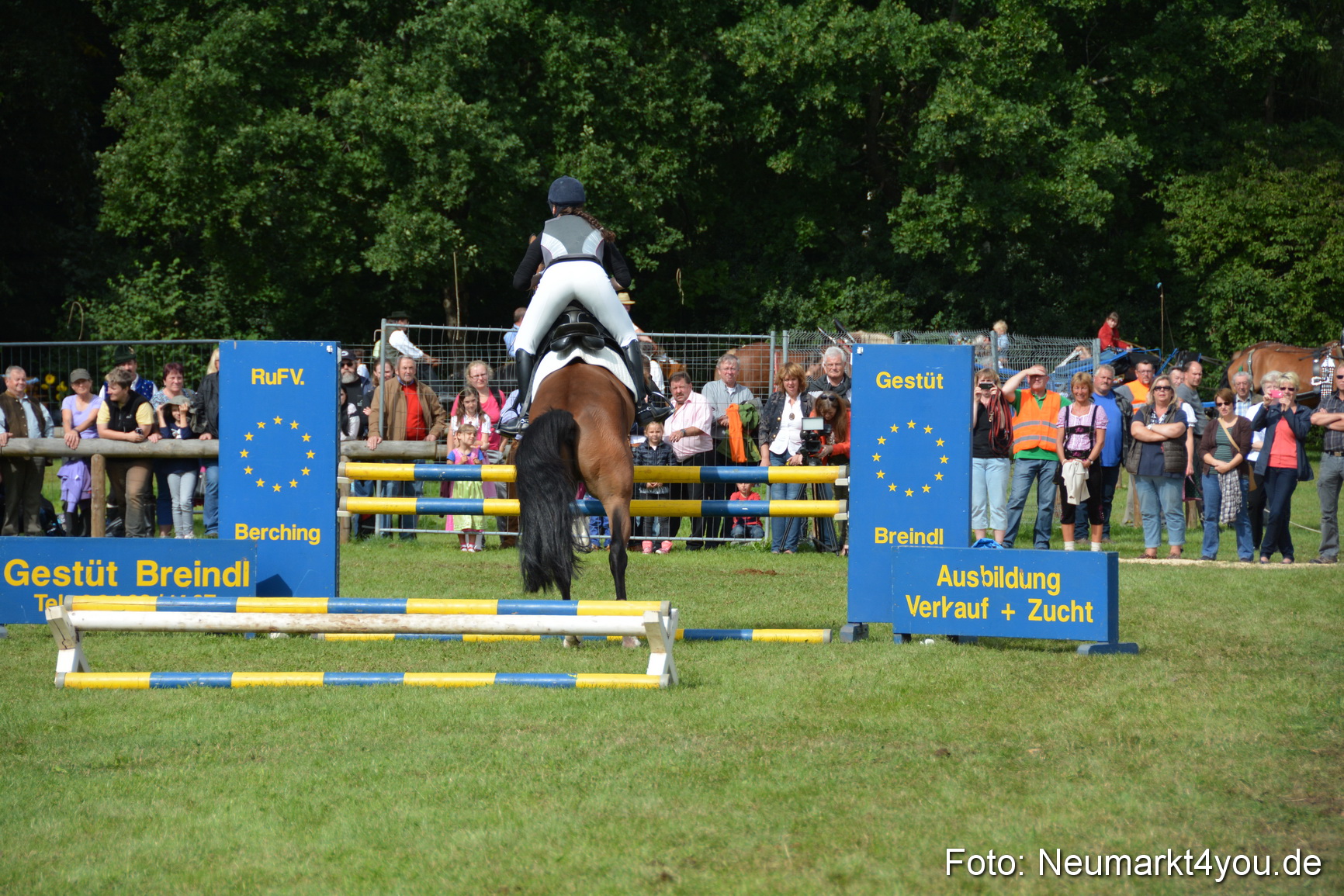 Pferdeschau JURA Volksfest 180814 0306