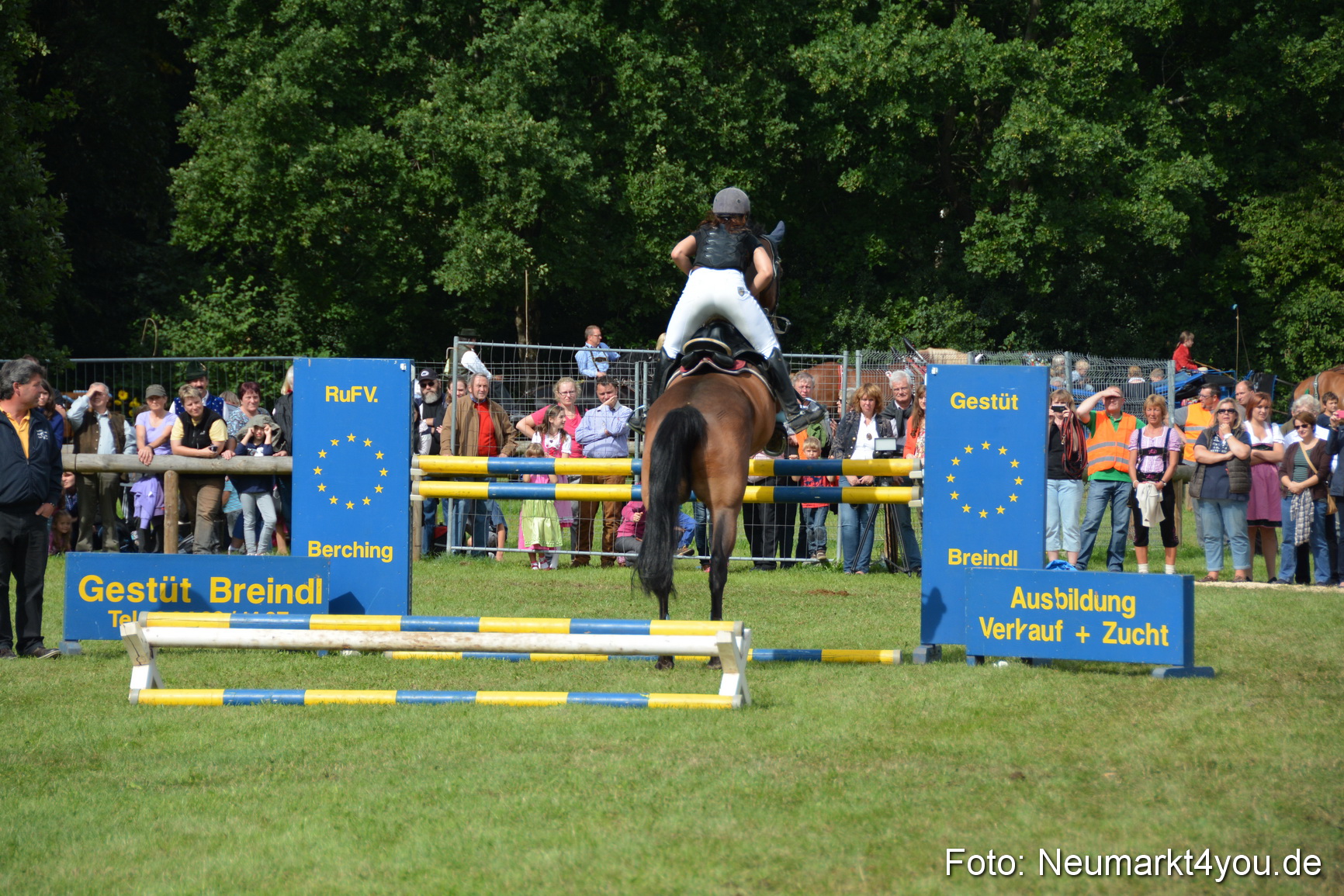 Pferdeschau JURA Volksfest 180814 0307