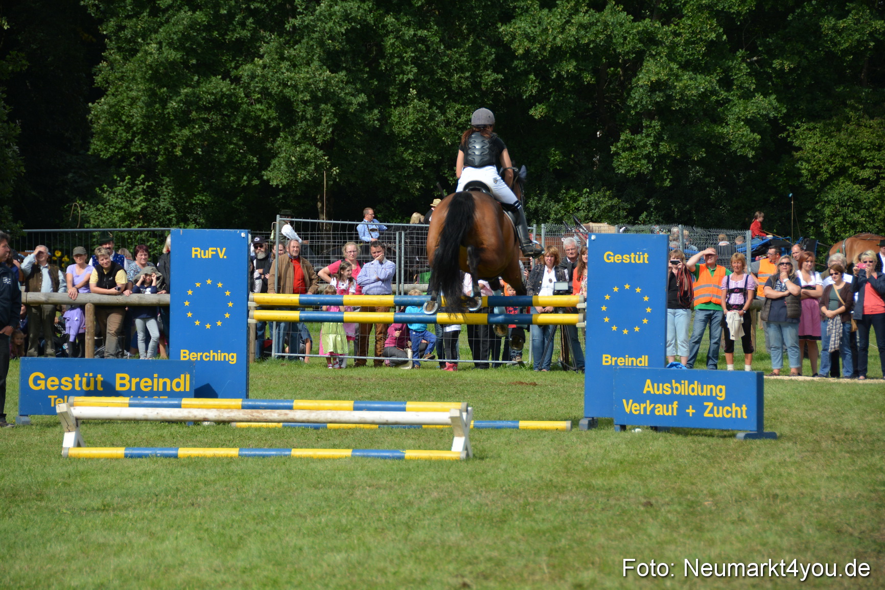 Pferdeschau JURA Volksfest 180814 0308