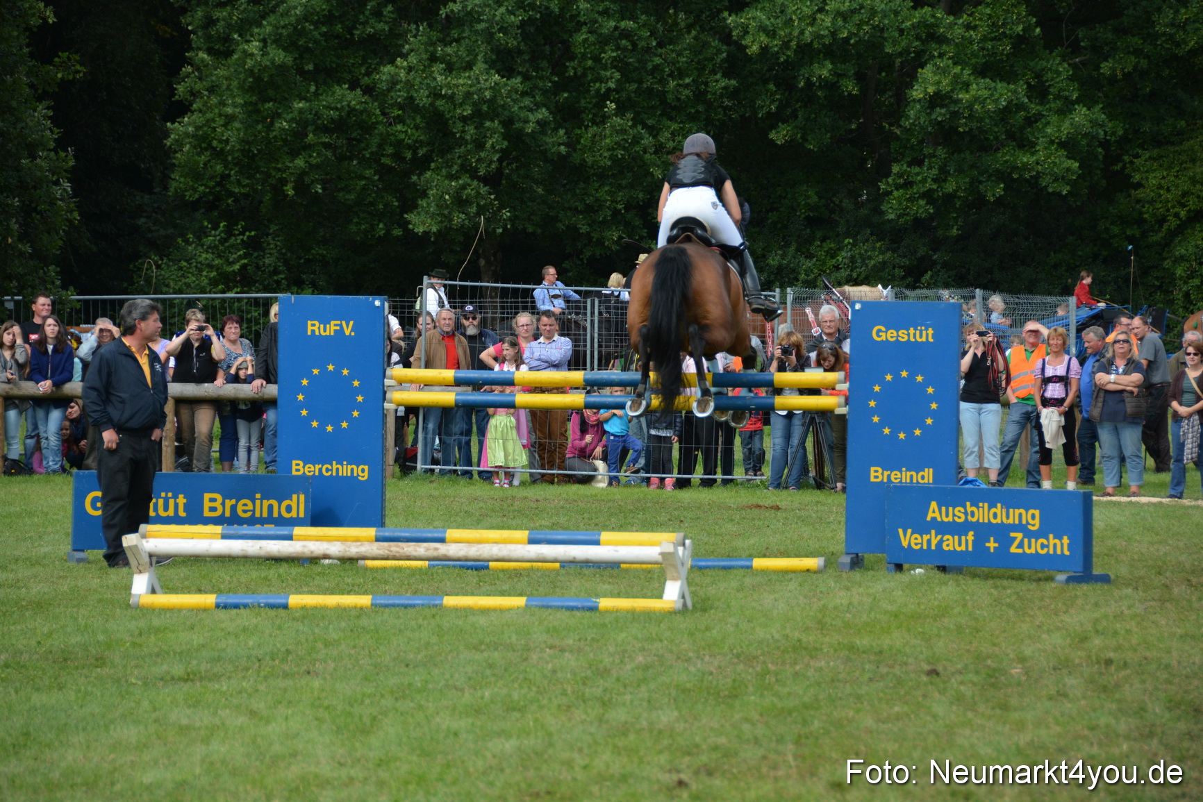 Pferdeschau JURA Volksfest 180814 0309