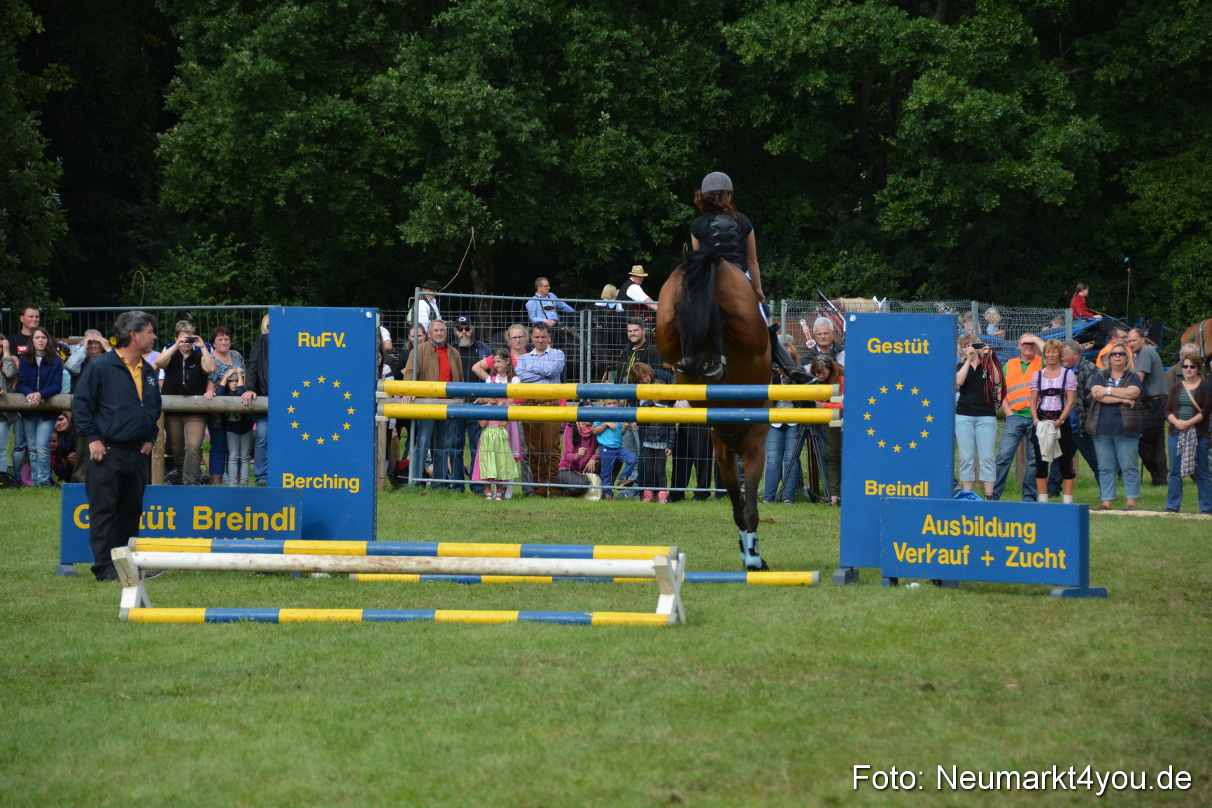 Pferdeschau JURA Volksfest 180814 0310