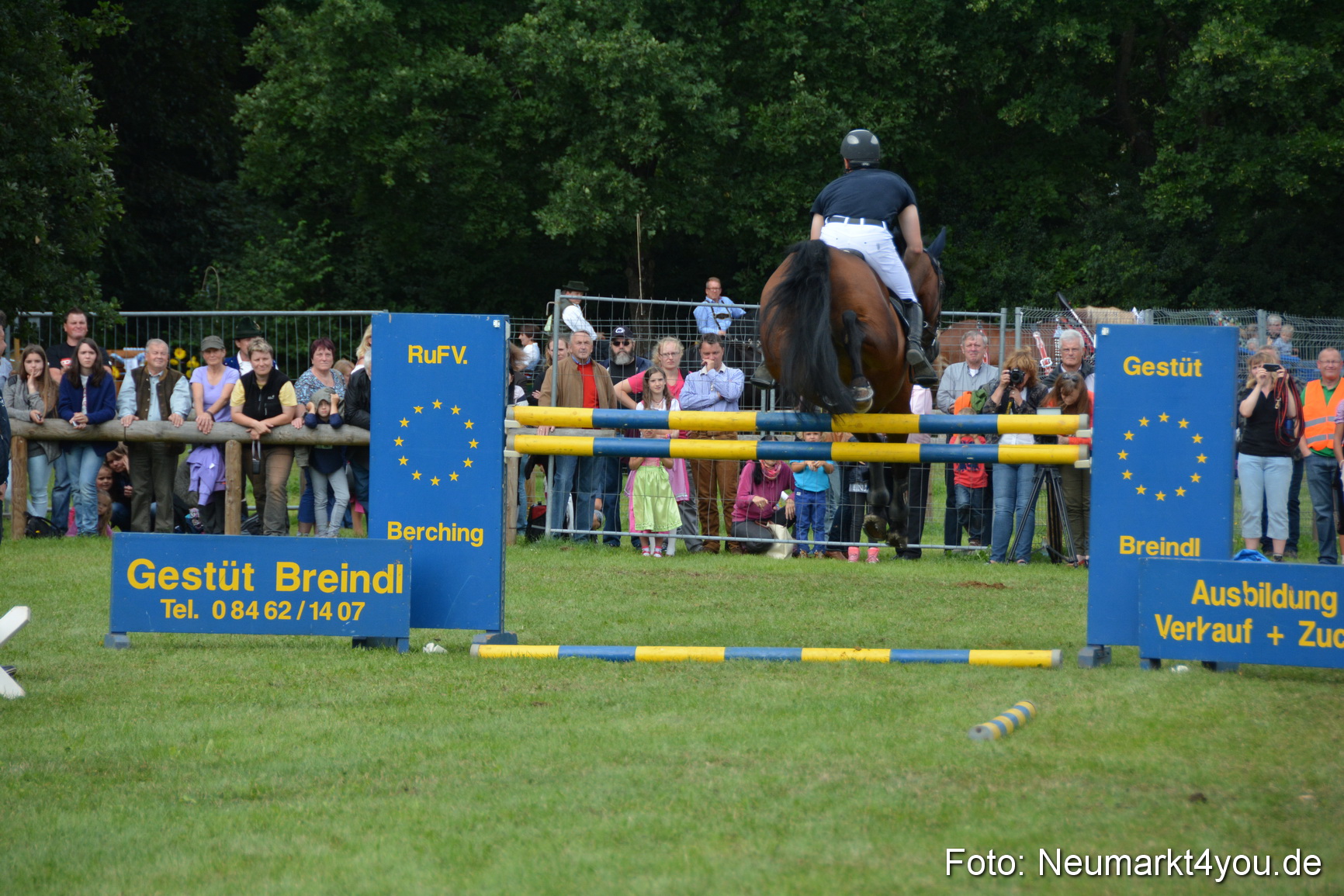 Pferdeschau JURA Volksfest 180814 0311