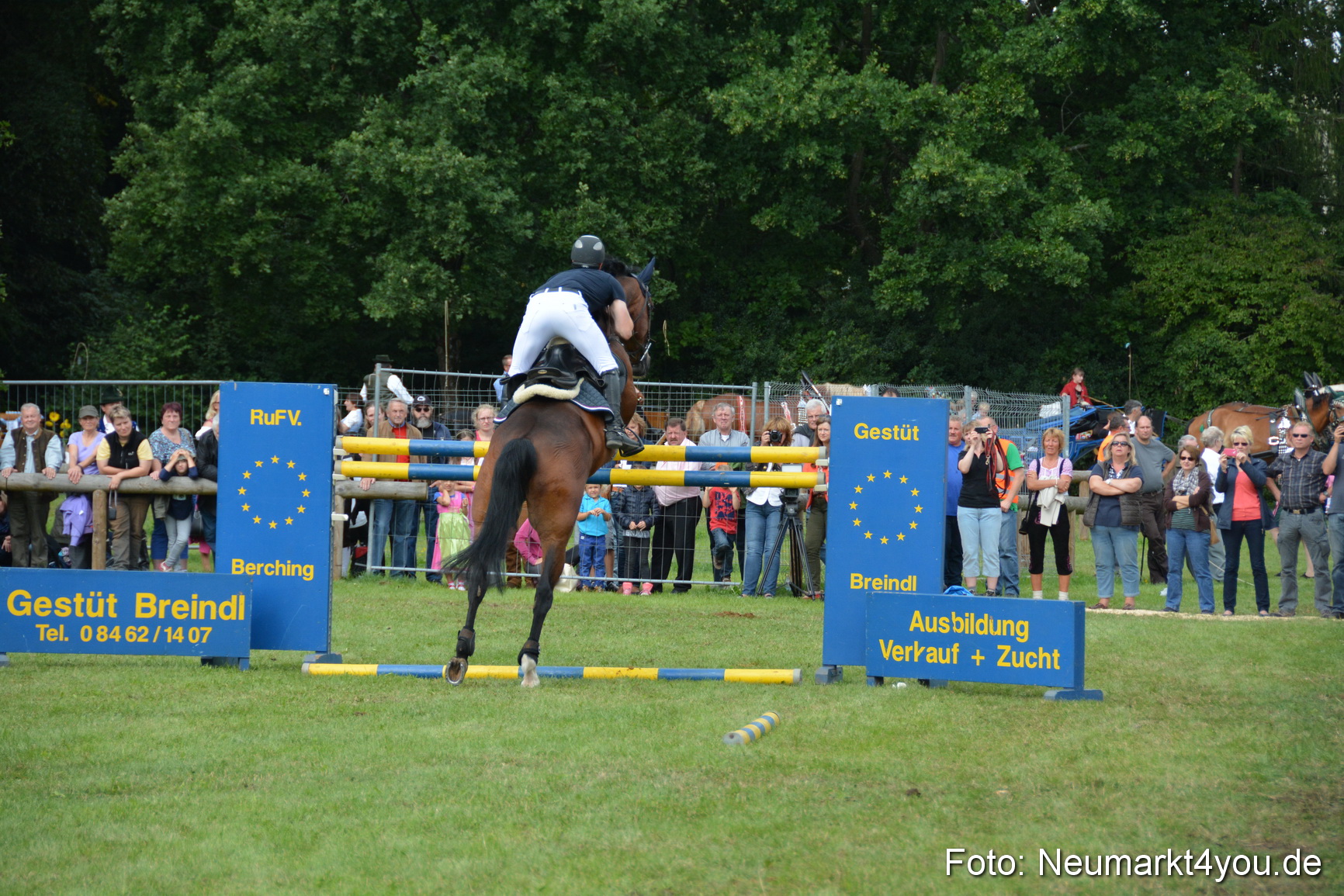 Pferdeschau JURA Volksfest 180814 0312