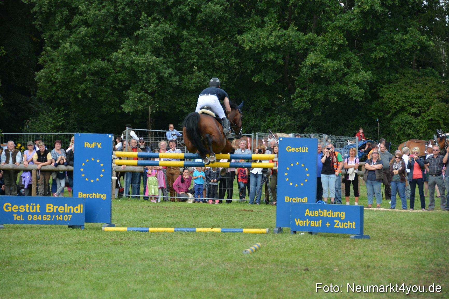 Pferdeschau JURA Volksfest 180814 0313
