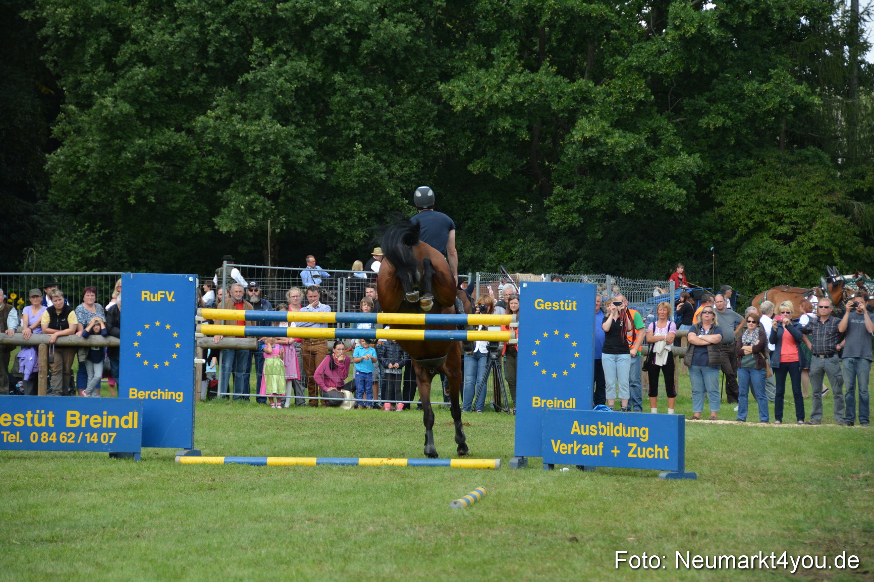 Pferdeschau JURA Volksfest 180814 0314