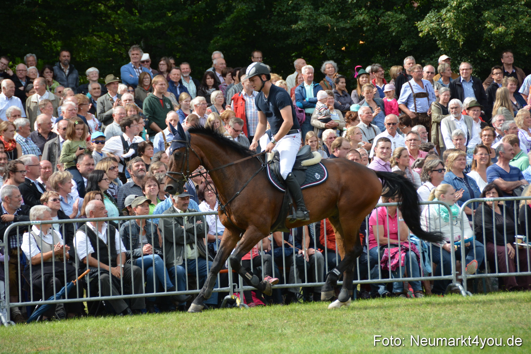 Pferdeschau JURA Volksfest 180814 0315