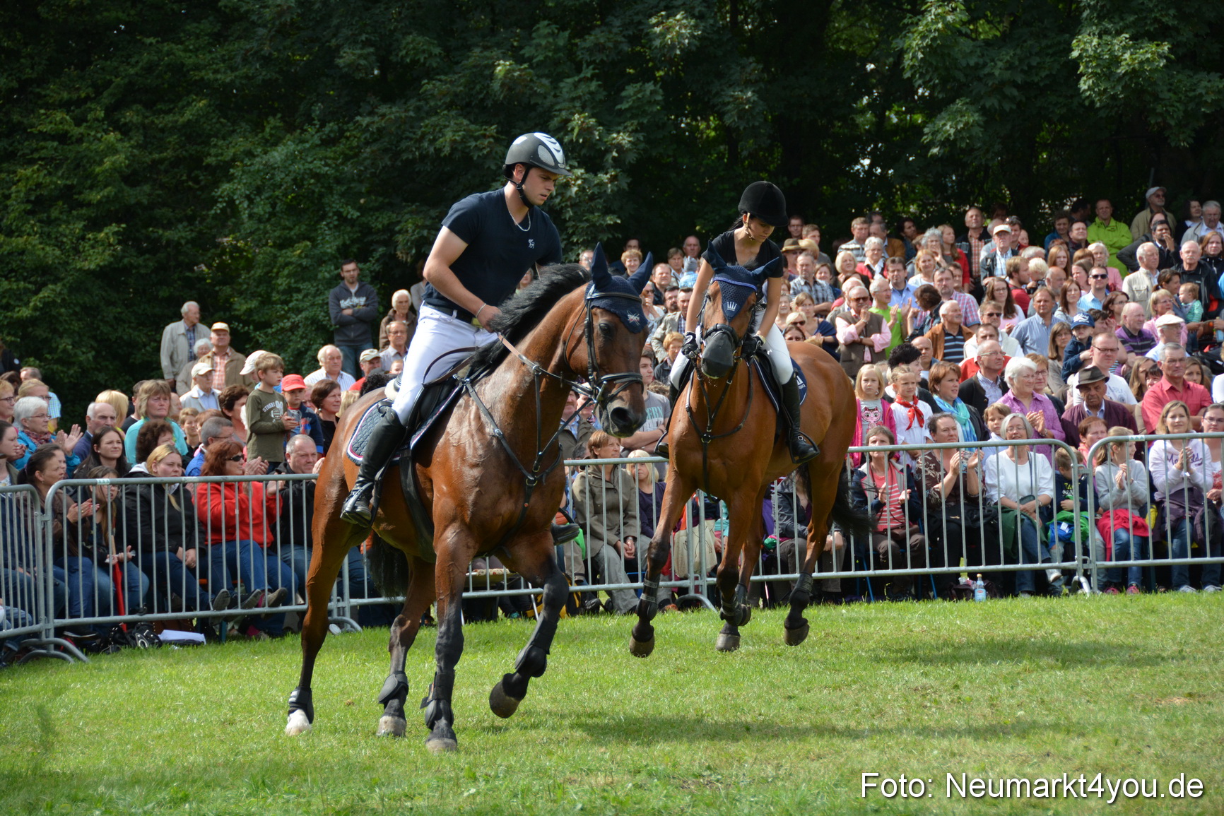 Pferdeschau JURA Volksfest 180814 0316