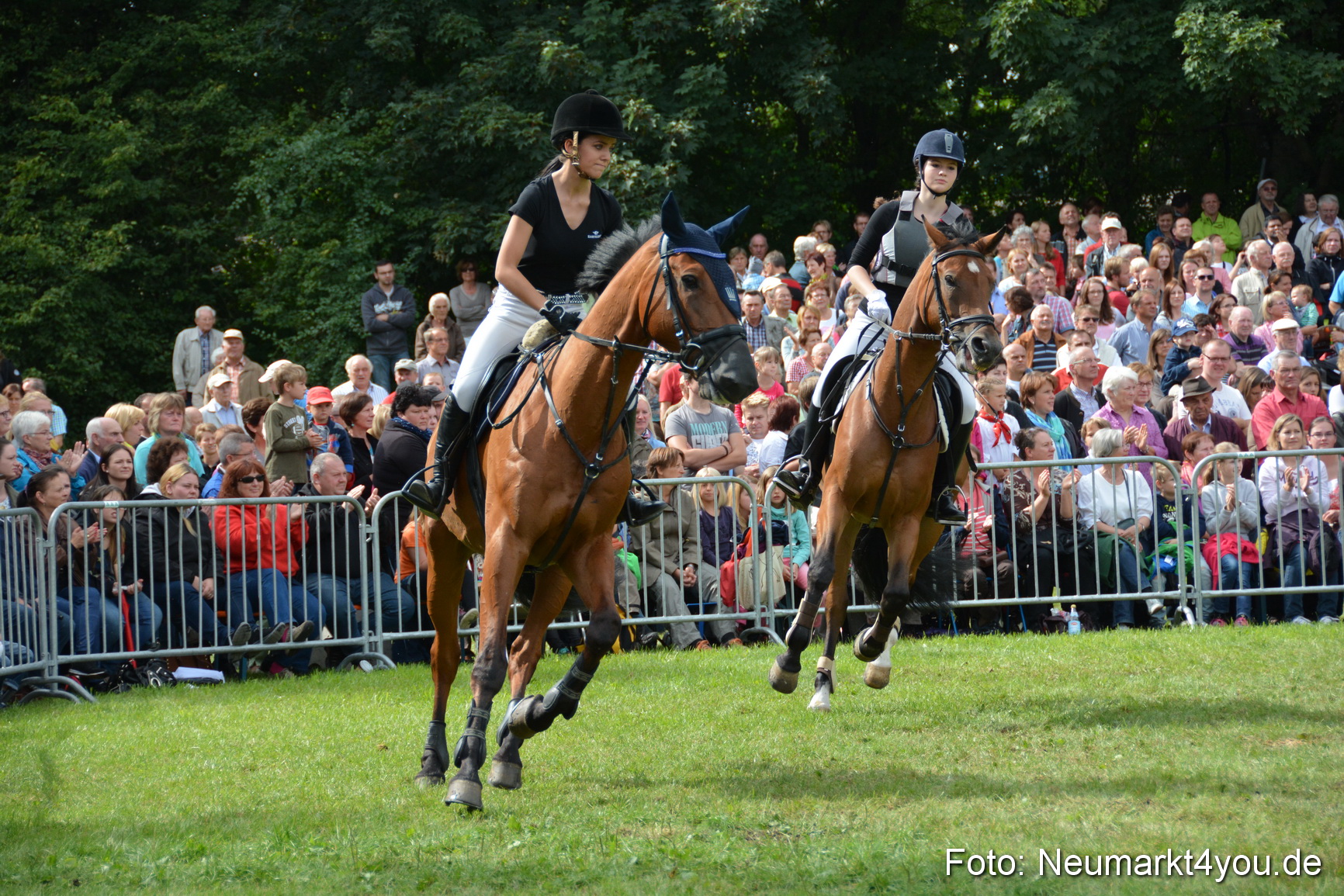 Pferdeschau JURA Volksfest 180814 0317