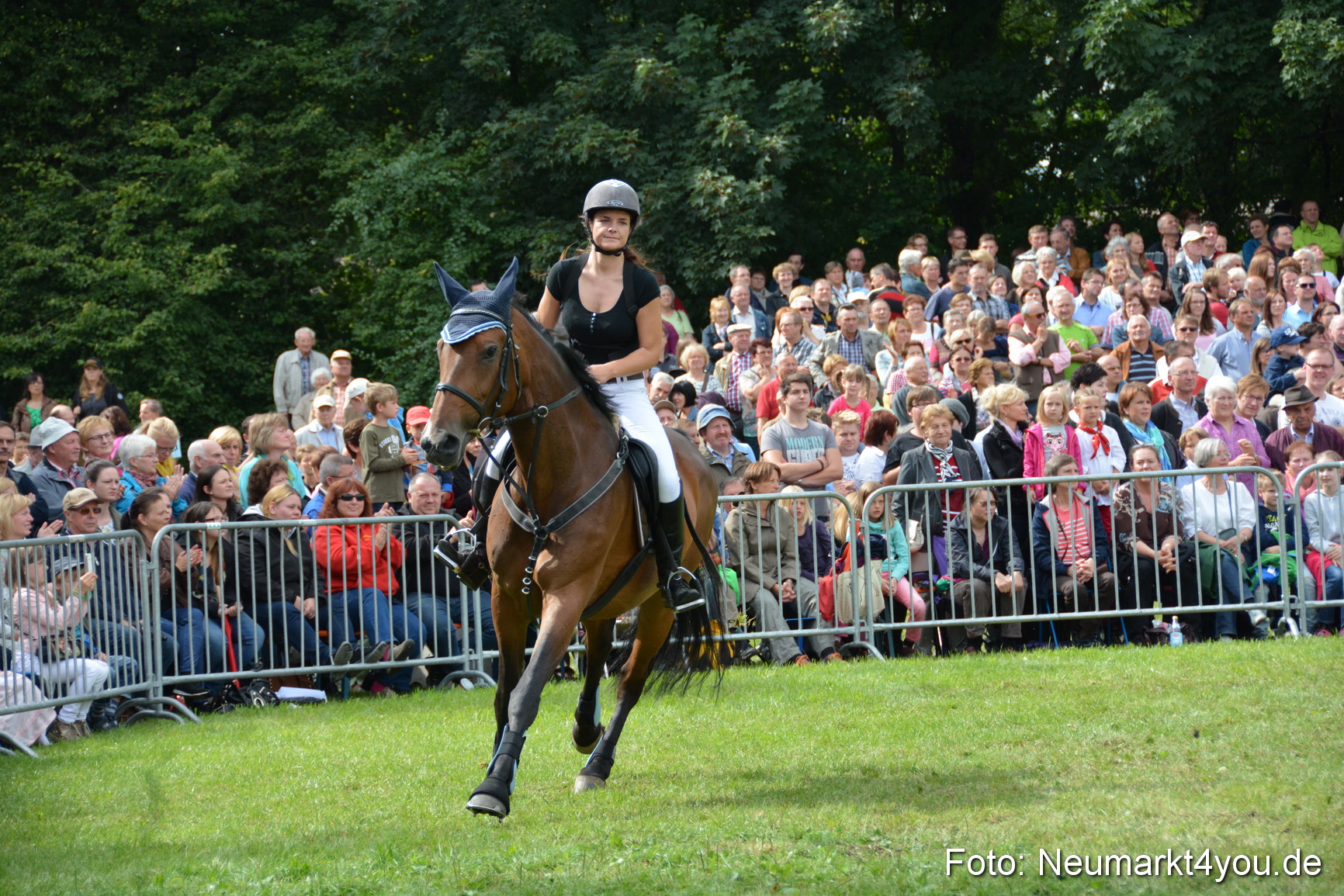 Pferdeschau JURA Volksfest 180814 0318