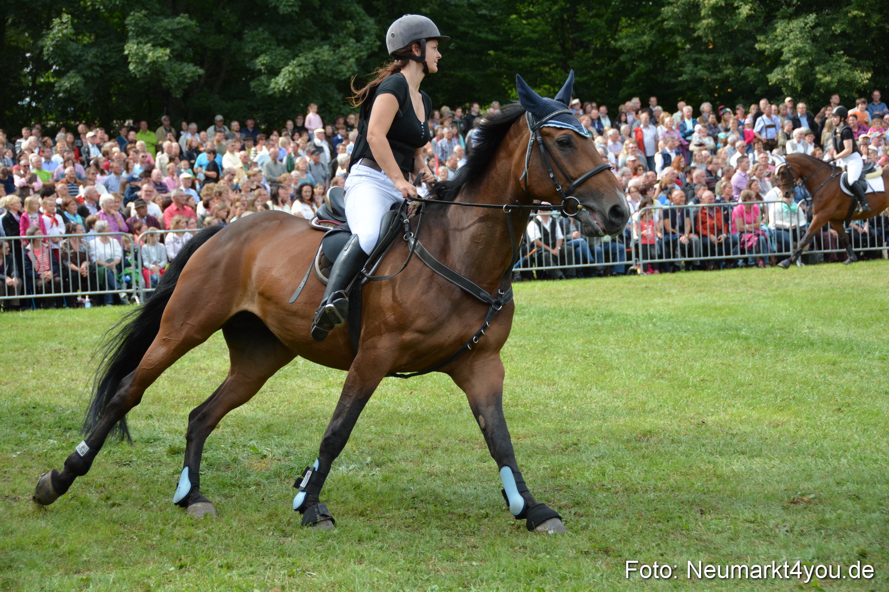Pferdeschau JURA Volksfest 180814 0319