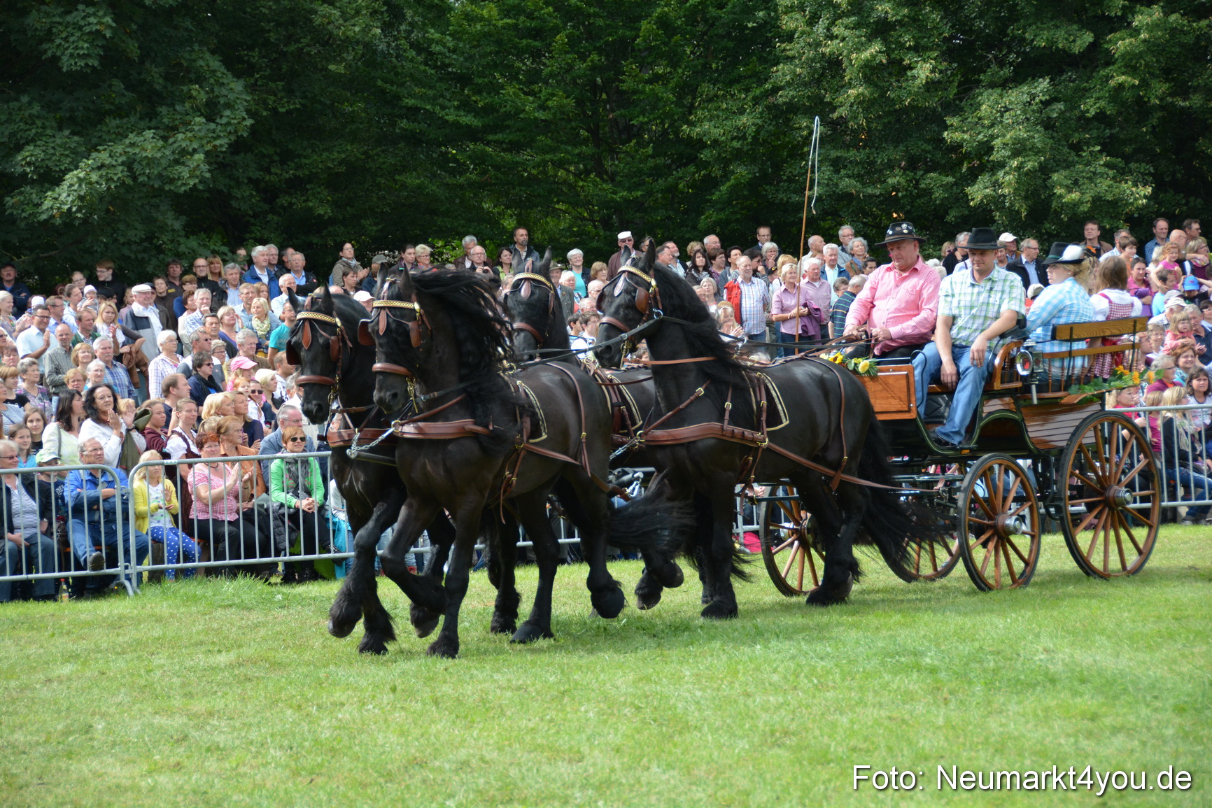 Pferdeschau JURA Volksfest 180814 0321