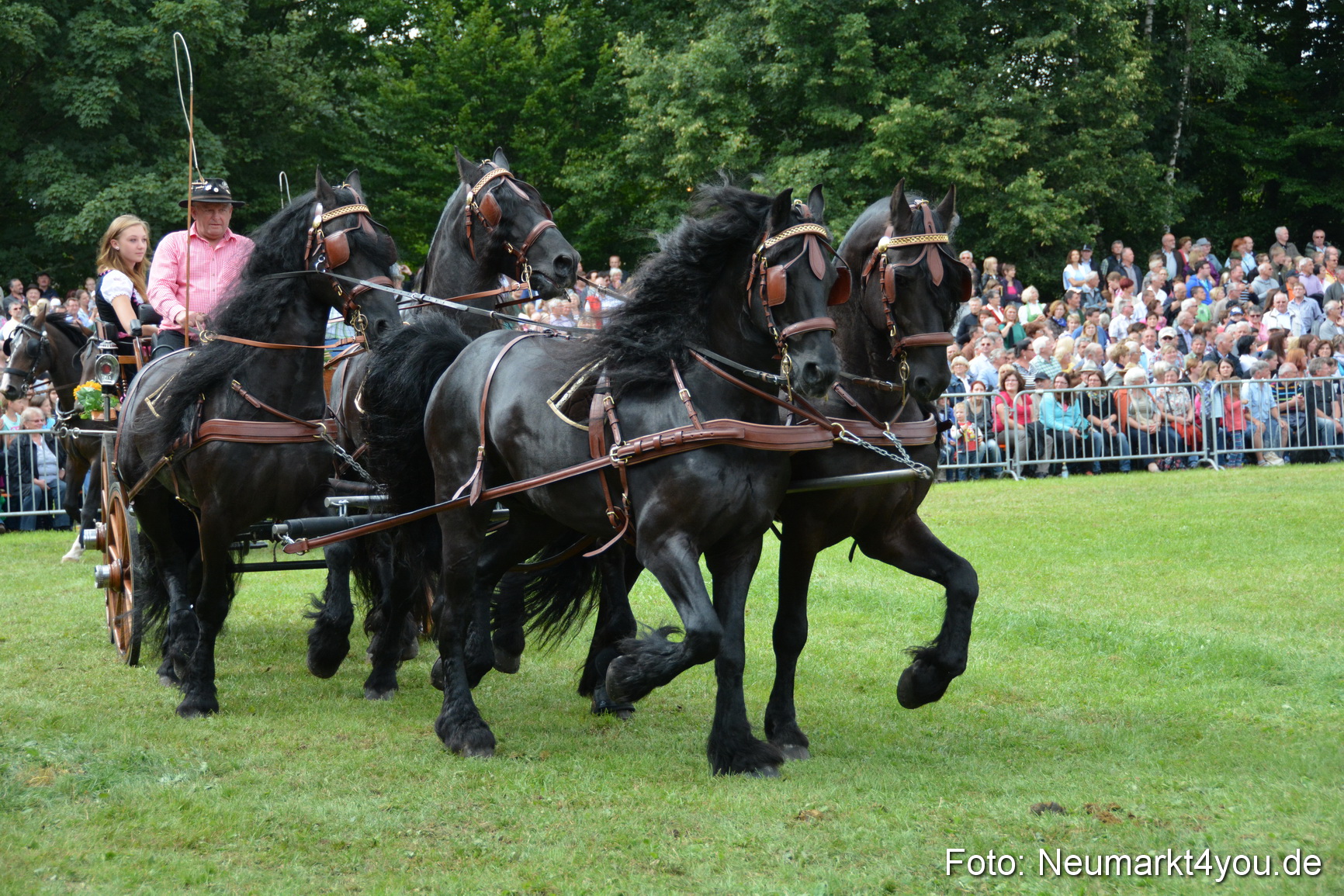 Pferdeschau JURA Volksfest 180814 0322