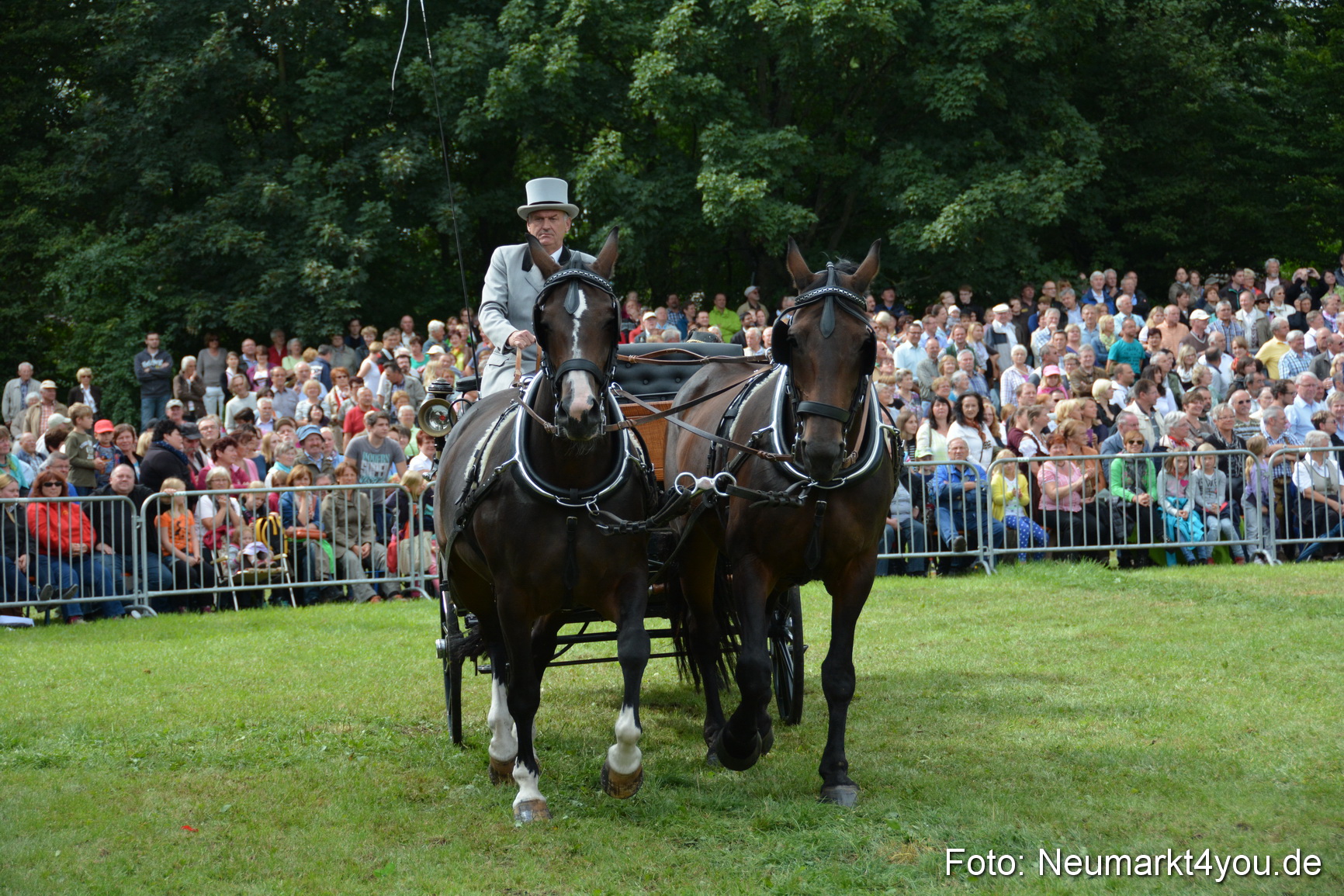 Pferdeschau JURA Volksfest 180814 0323