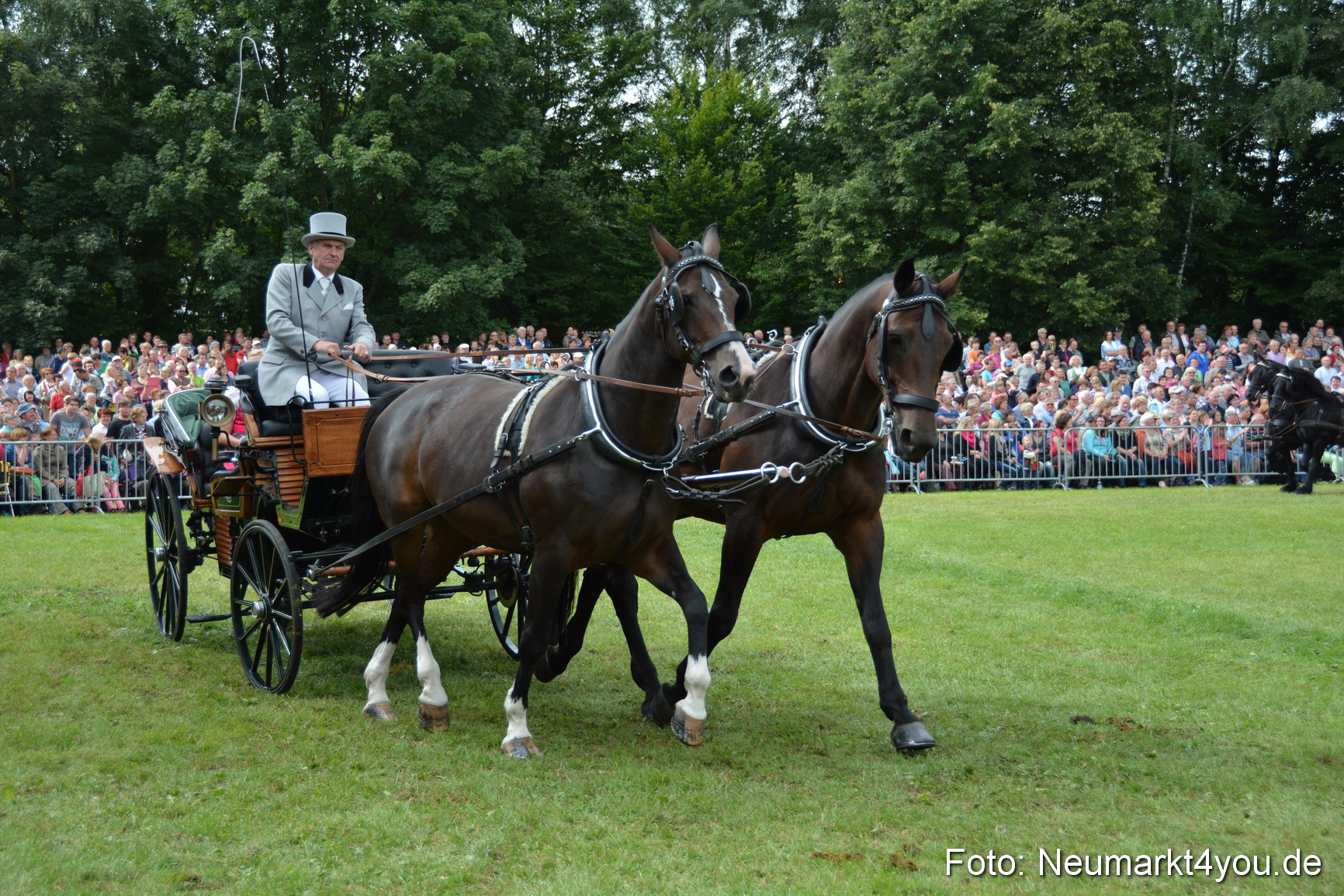 Pferdeschau JURA Volksfest 180814 0324