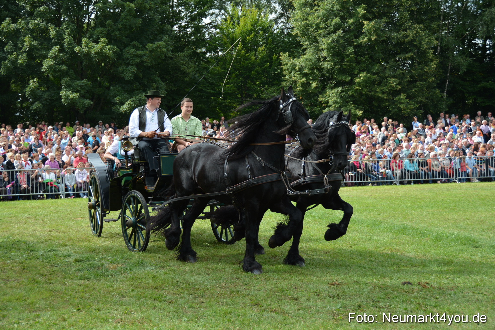 Pferdeschau JURA Volksfest 180814 0328