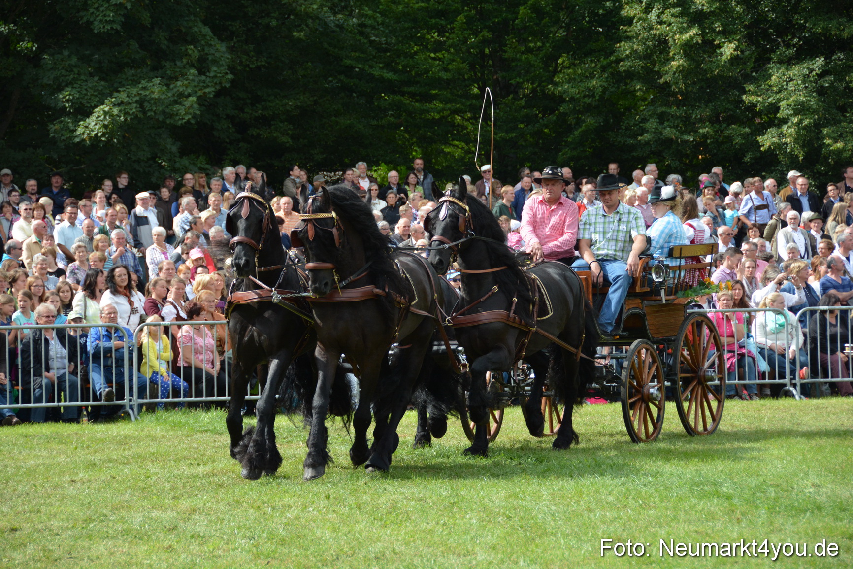 Pferdeschau JURA Volksfest 180814 0330