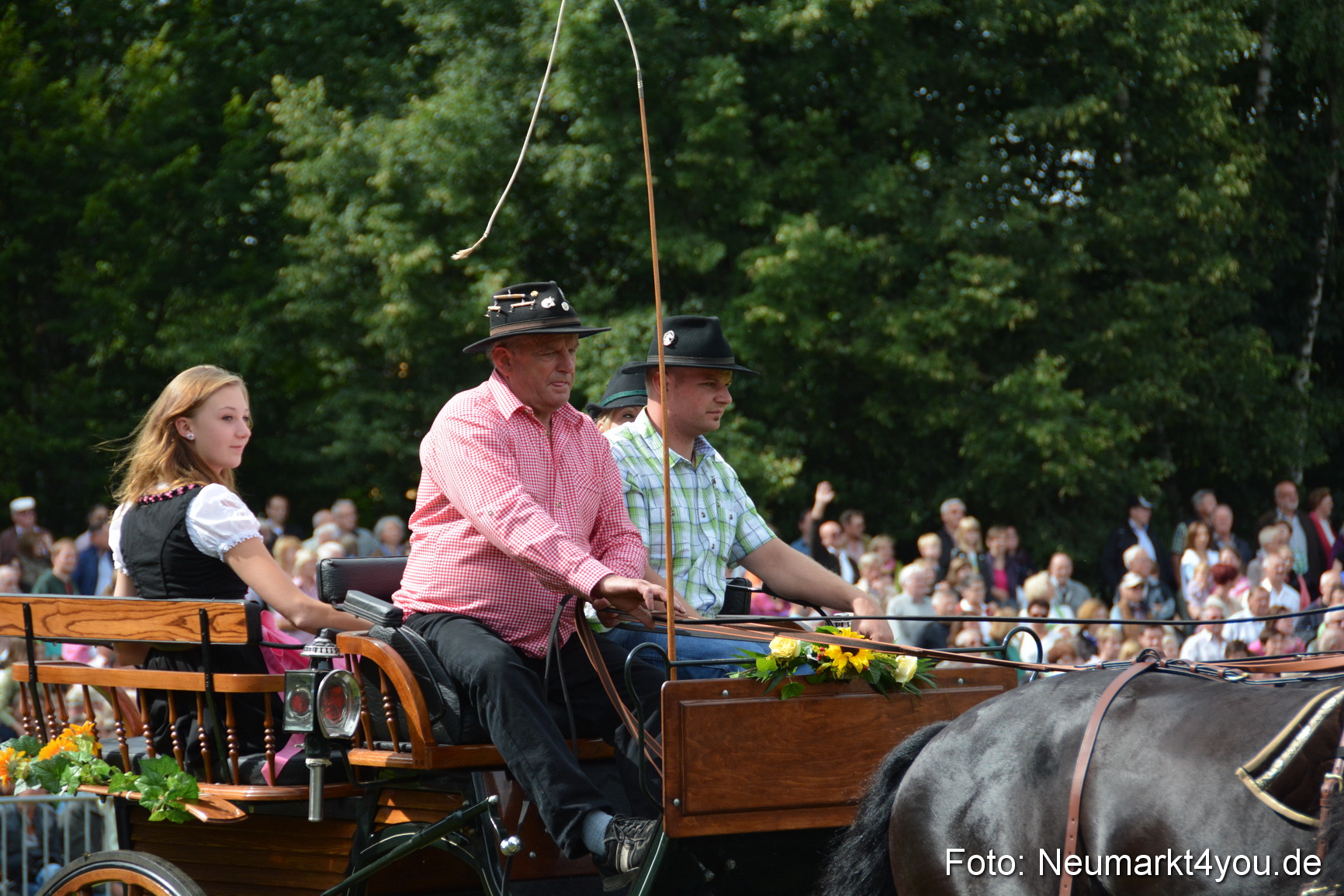 Pferdeschau JURA Volksfest 180814 0331