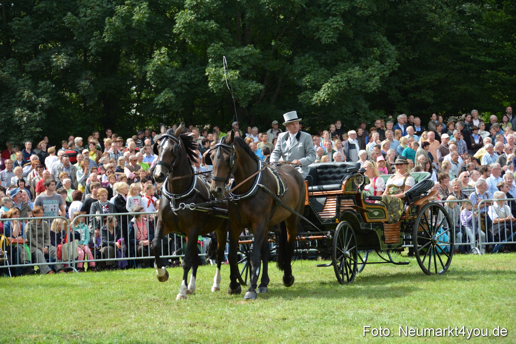 Pferdeschau JURA Volksfest 180814 0332