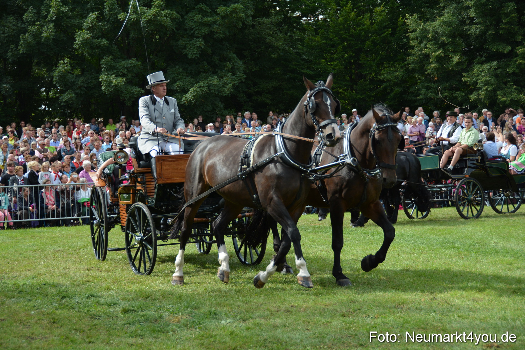 Pferdeschau JURA Volksfest 180814 0333