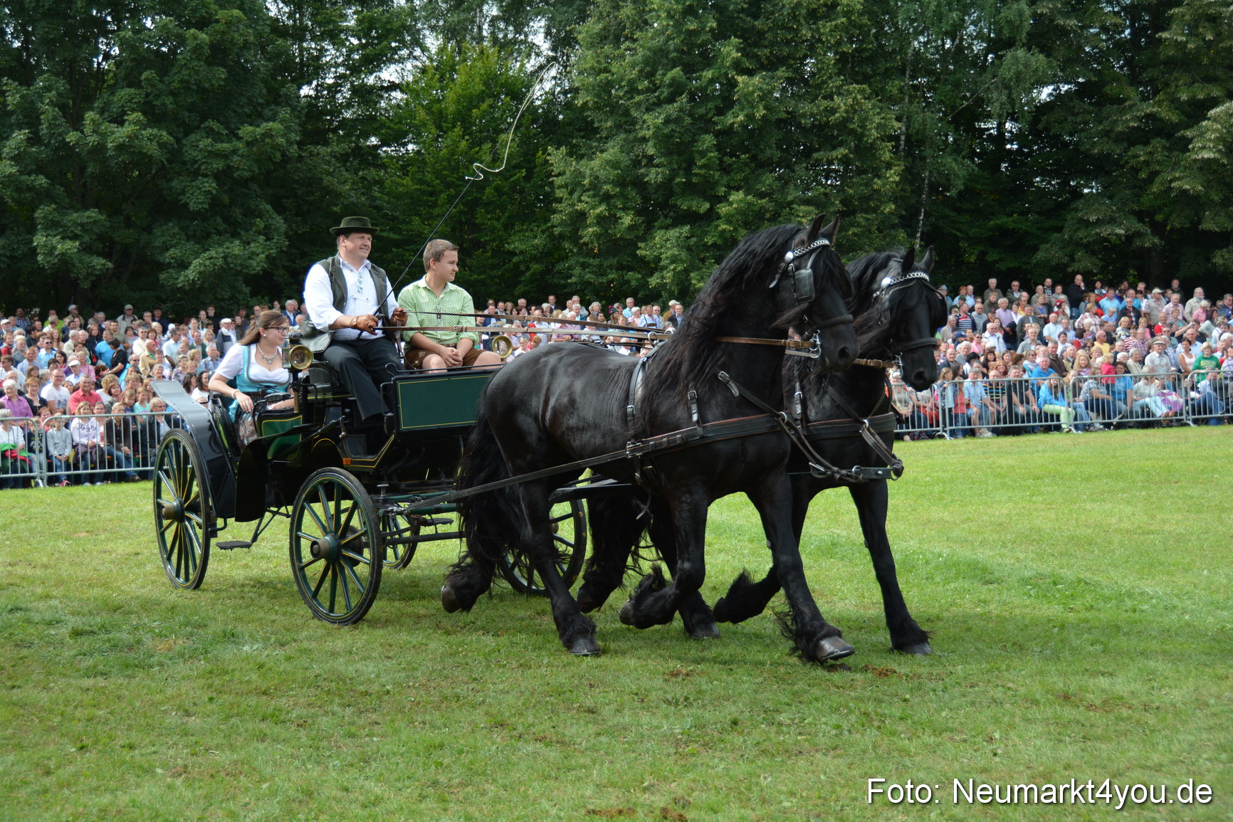 Pferdeschau JURA Volksfest 180814 0334