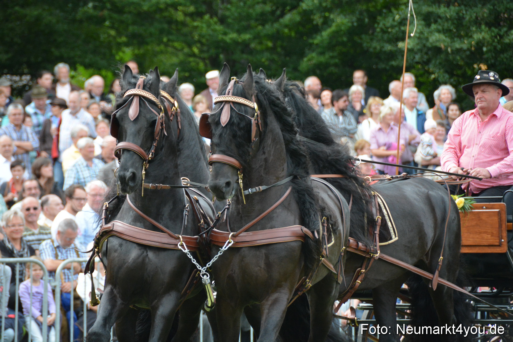 Pferdeschau JURA Volksfest 180814 0335