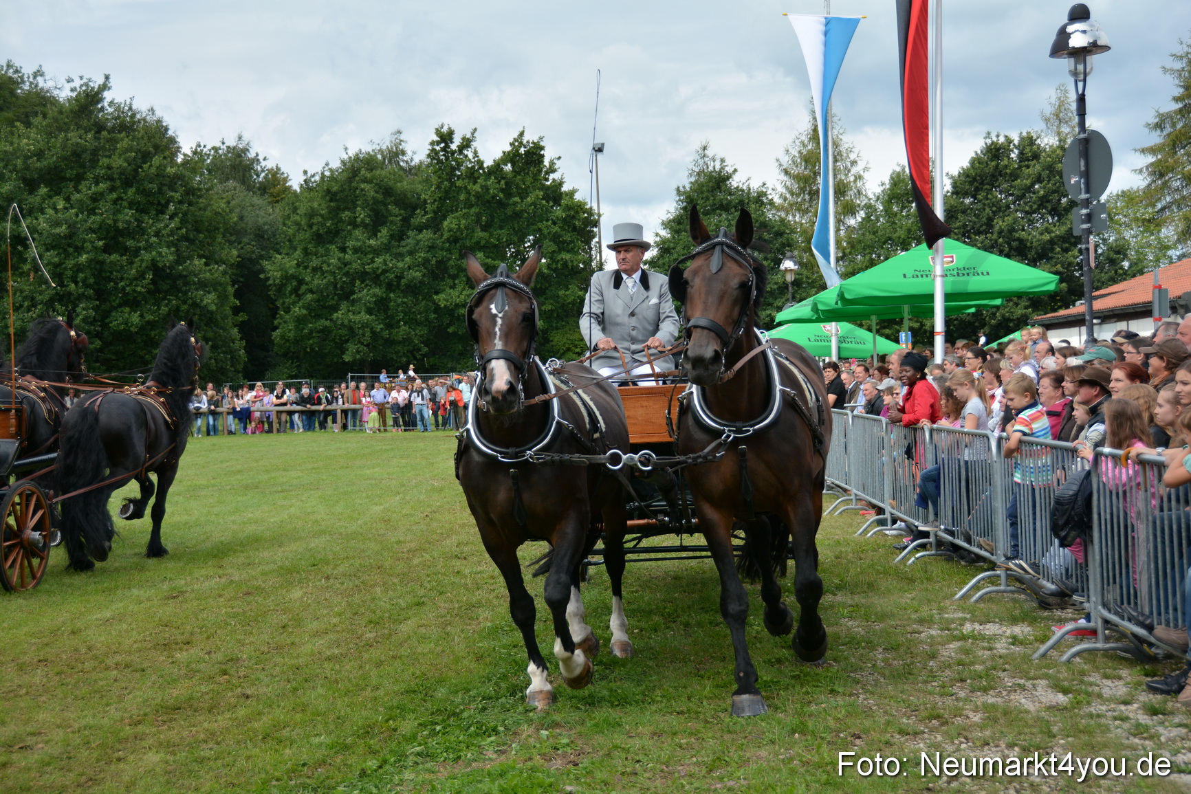 Pferdeschau JURA Volksfest 180814 0337