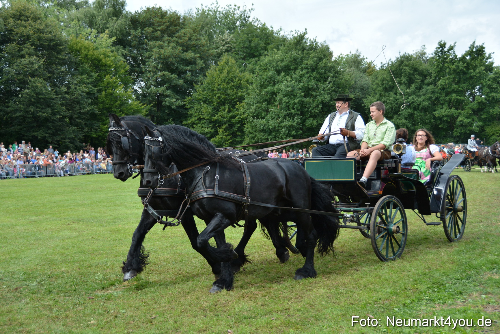 Pferdeschau JURA Volksfest 180814 0340